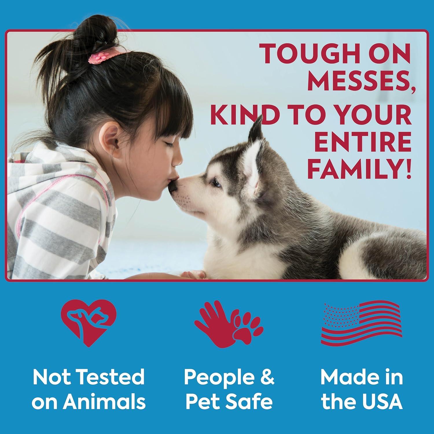 Bandeja Portapads para Perros OUT! PetCare 53x53 cm Antideslizante