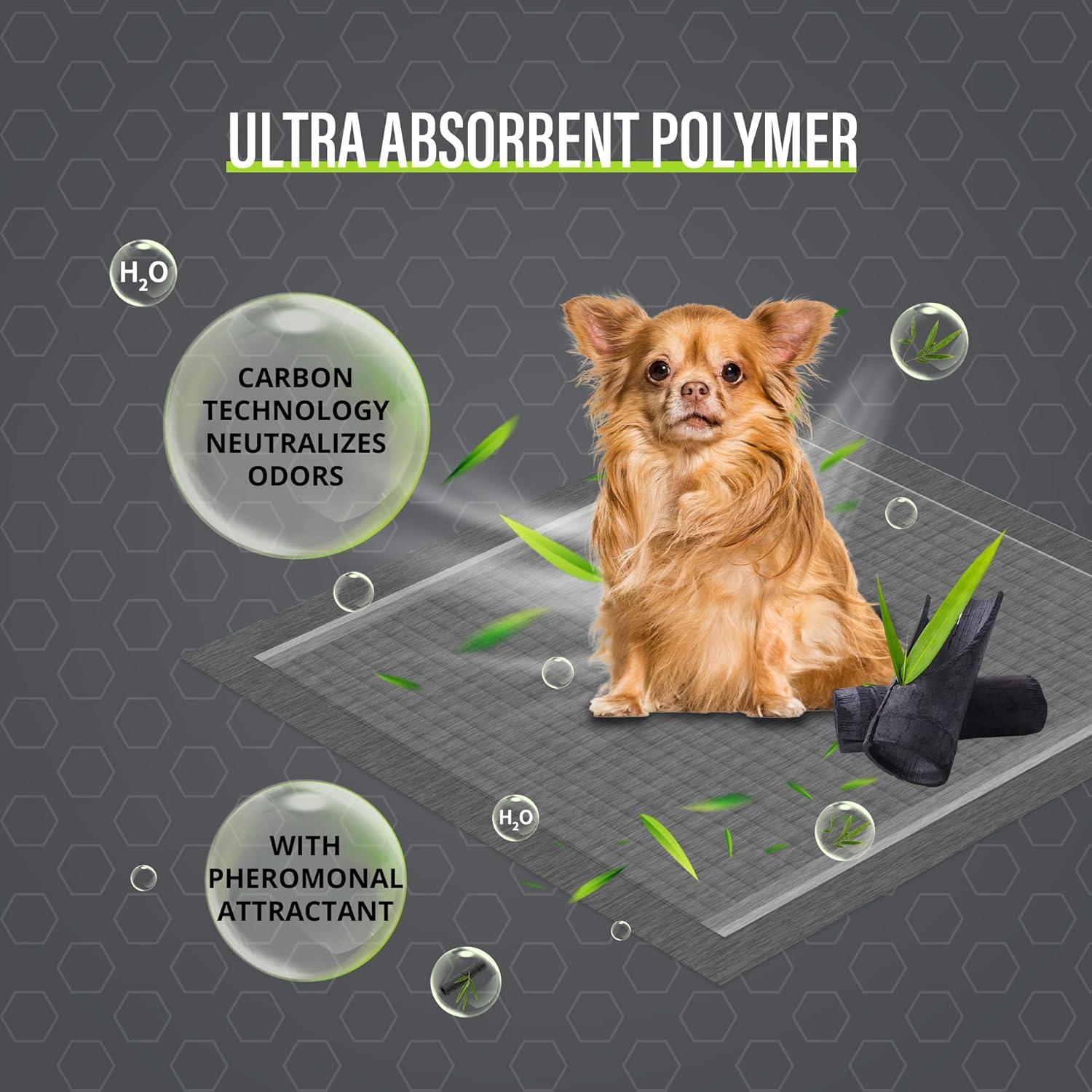 Almohadillas de Entrenamiento COCOYO Gigante 76x114 cm Carbono 30 Pzas