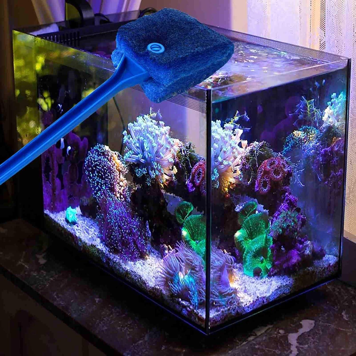 3 Cepillos de Limpieza de Algas AOODOOM para Acuario Antideslizante