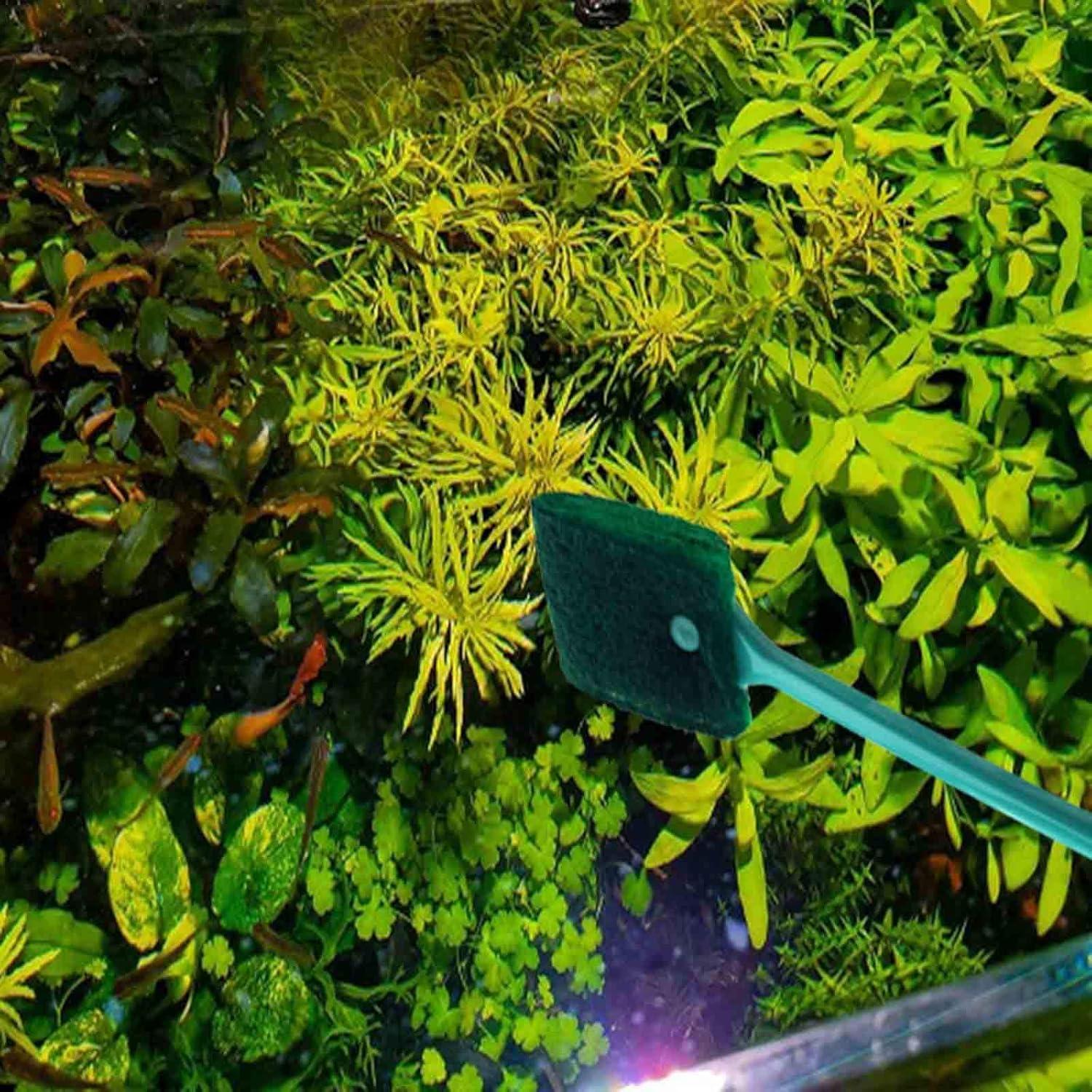 3 Cepillos de Limpieza de Algas AOODOOM para Acuario Antideslizante