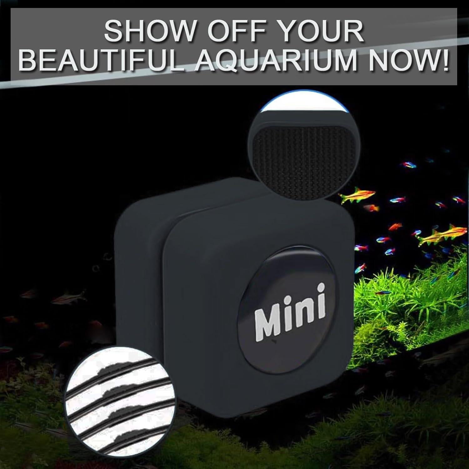 Limpiador Magnético de Acuario NASOFIR 30x30mm para Vidrio