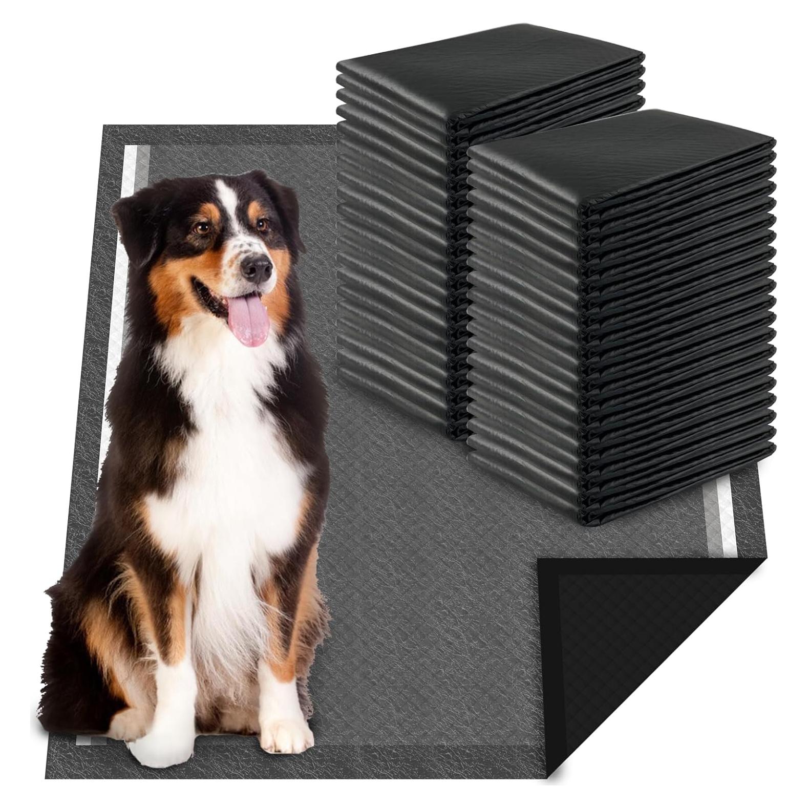 Alfombrillas de Entrenamiento para Perros Dogcator X-Large 40 Pzas