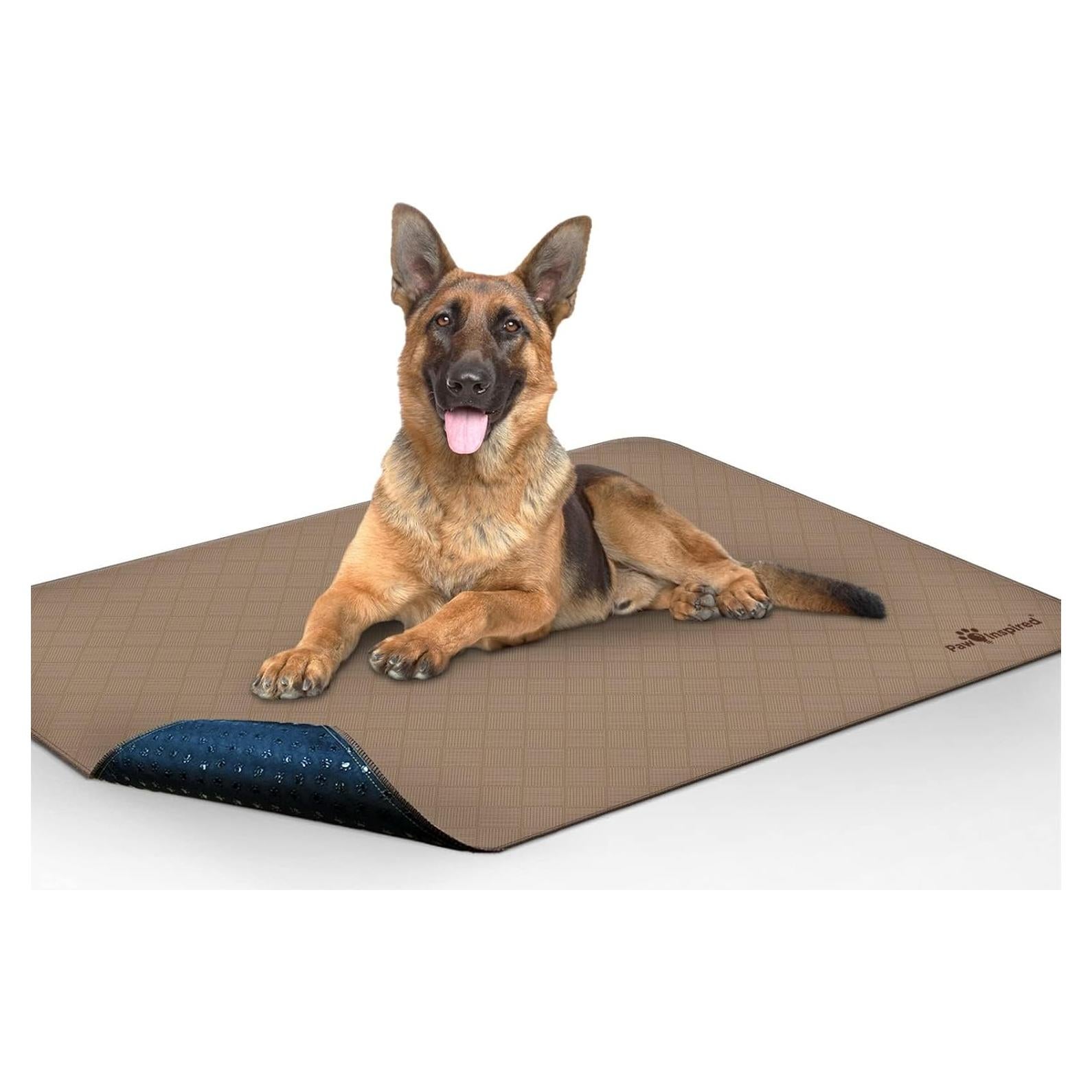 Almohadillas Lavables Paw Inspired 121.9x152.4 cm Impermeables