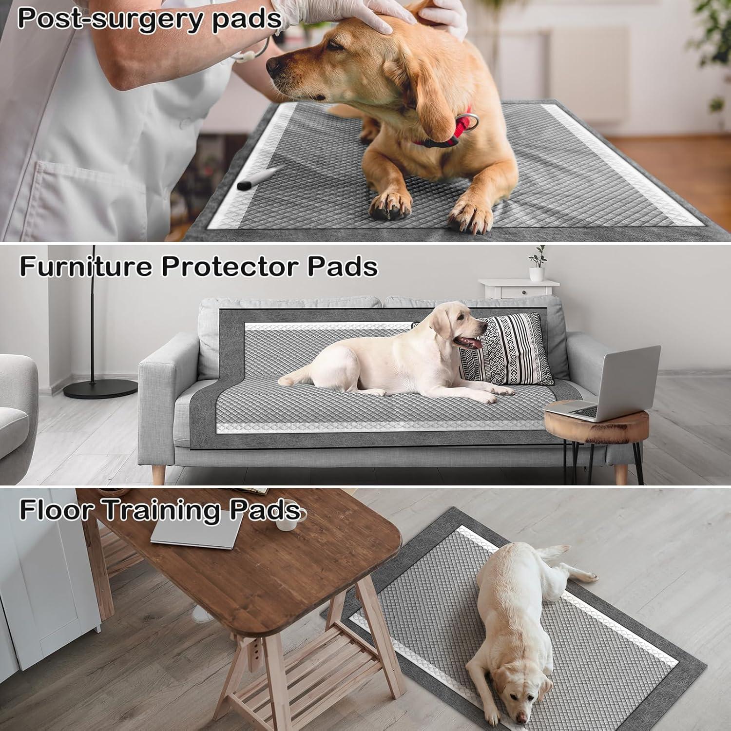 Almohadillas para Perros MIZOK 58x61cm Carbón Activado 50 Pzas