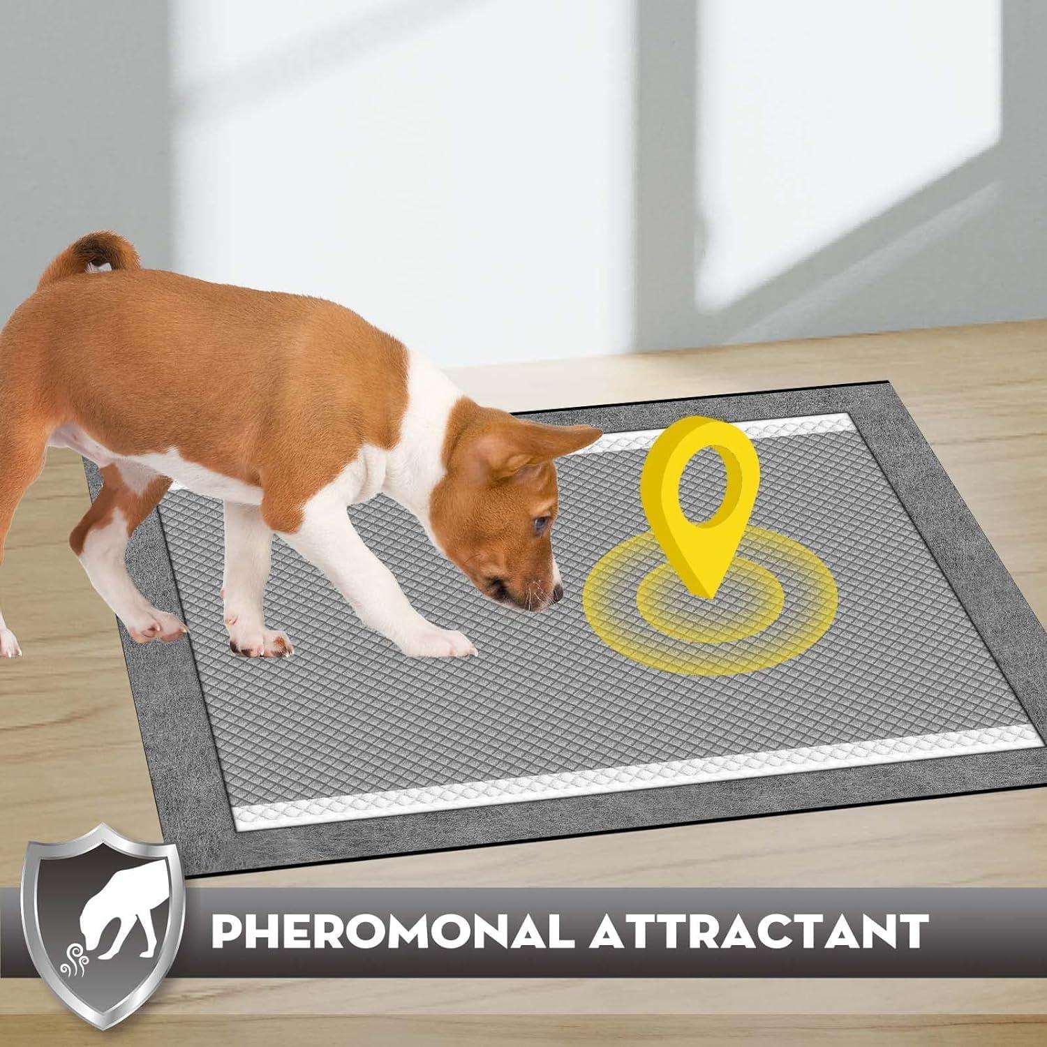 CROCI Almohadillas para Cachorros 56x56 cm 50 Unidades Absorbentes