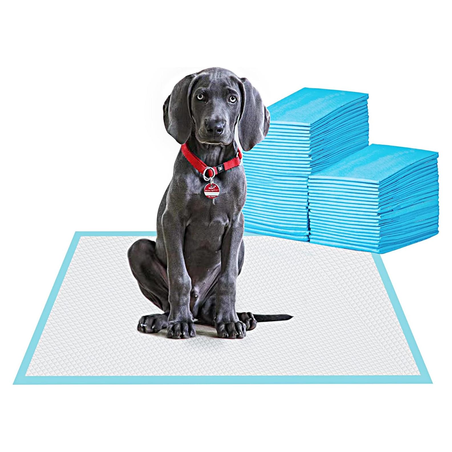 Alfombrillas de Entrenamiento Bestle 61x61 cm Absorbentes y a Prueba de Fugas