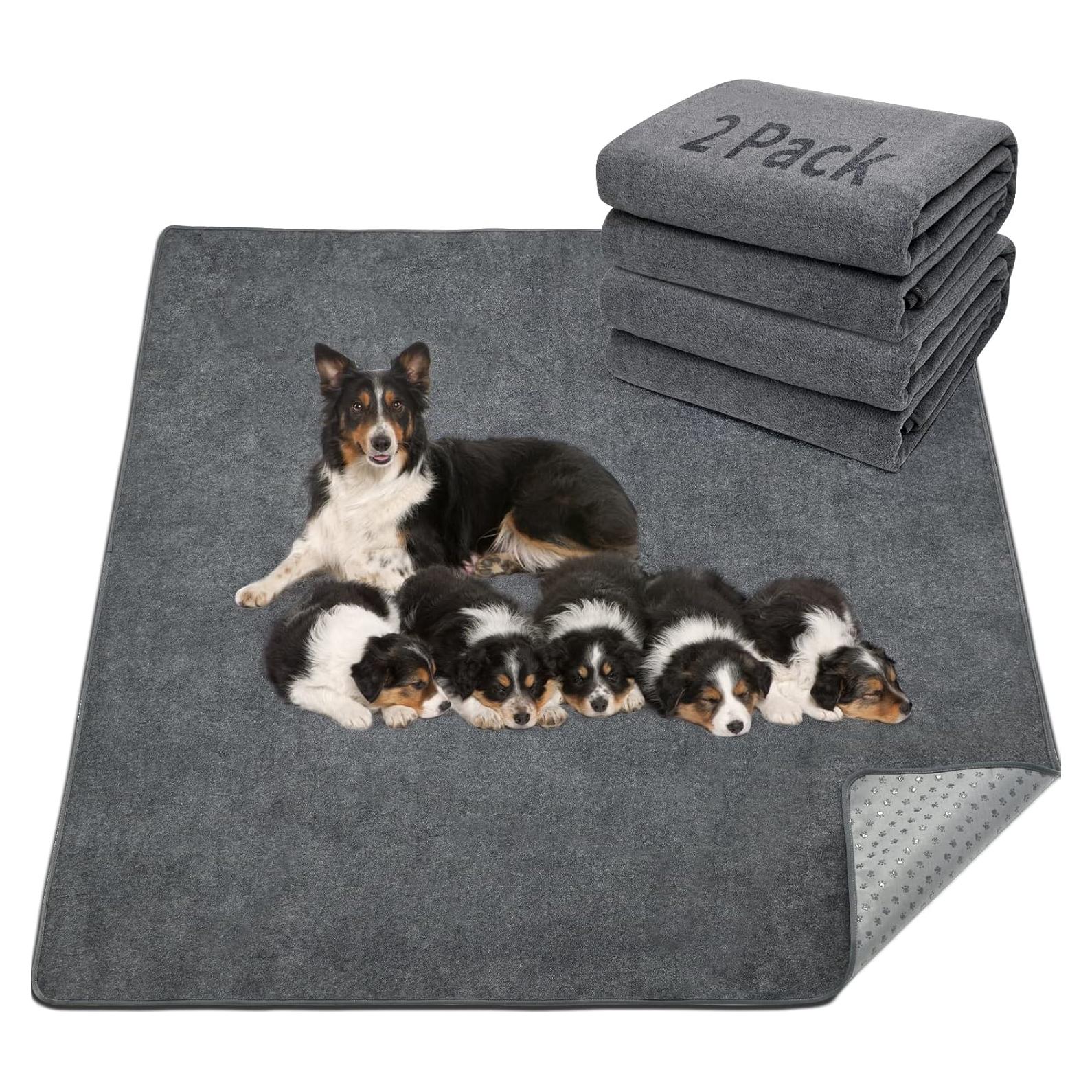 Almohadilla Lavable para Perros LOOBANI 104.14x104.14cm Antideslizante
