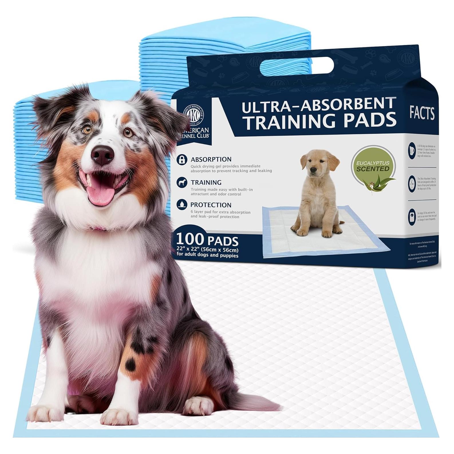 Almohadillas de Entrenamiento para Cachorros EHD 100 Unidades 55.88x55.88 cm