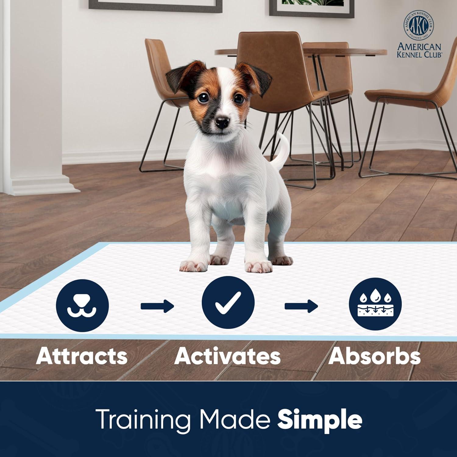 Almohadillas de Entrenamiento para Cachorros EHD 100 Unidades 55.88x55.88 cm