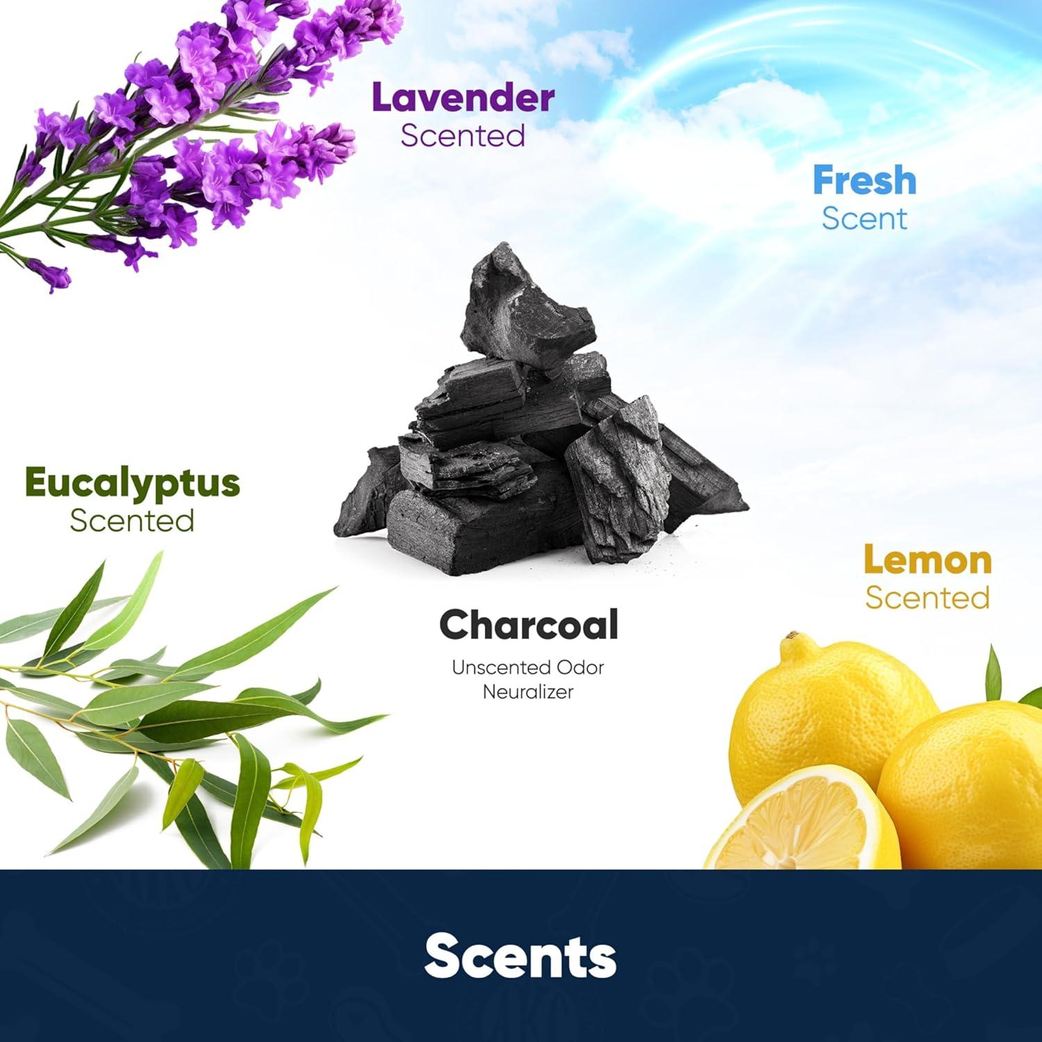 Almohadillas de Entrenamiento para Cachorros EHD 100 Unidades 55.88x55.88 cm