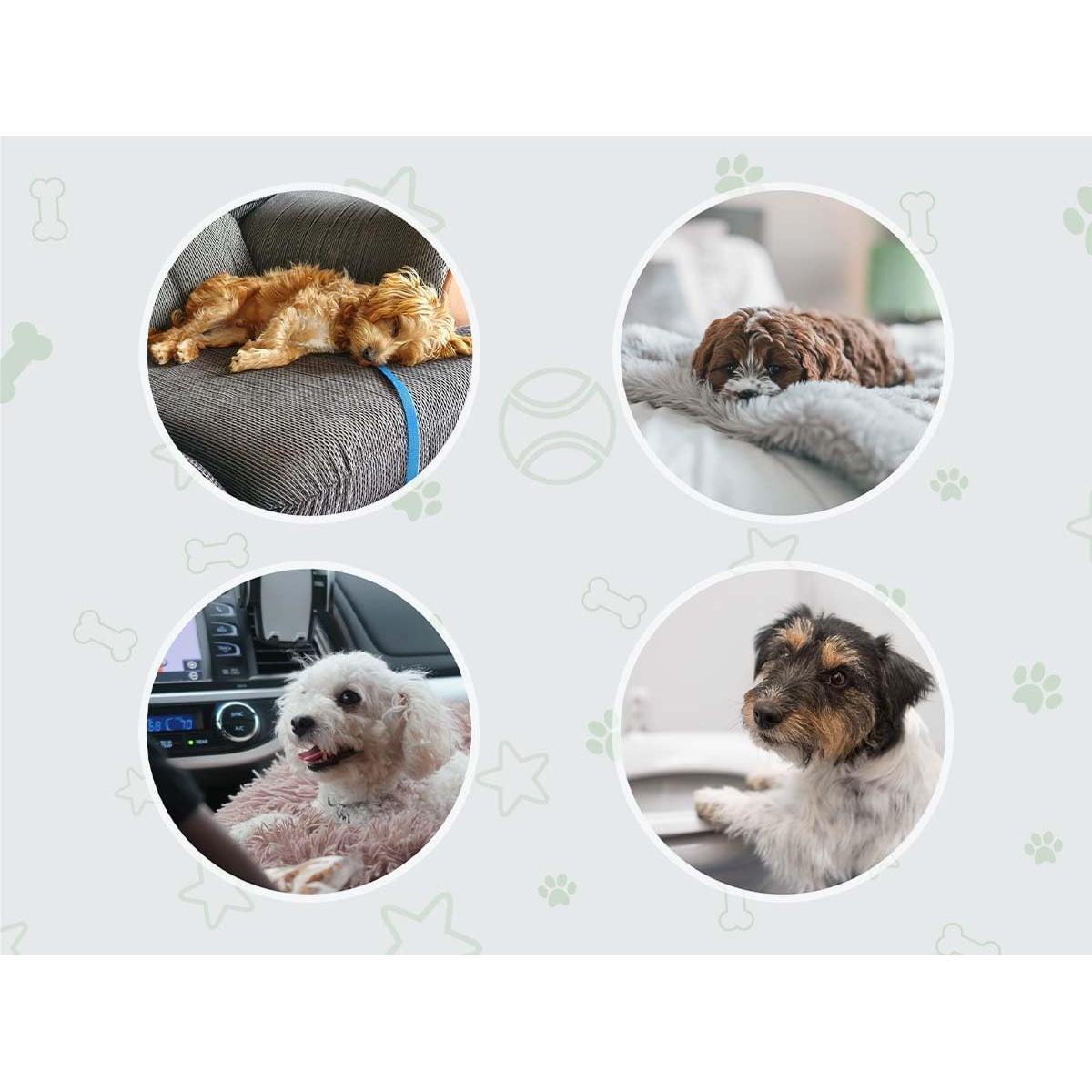 Almohadillas de Entrenamiento COCOYO 100 Unidades 44.5x59.7 cm