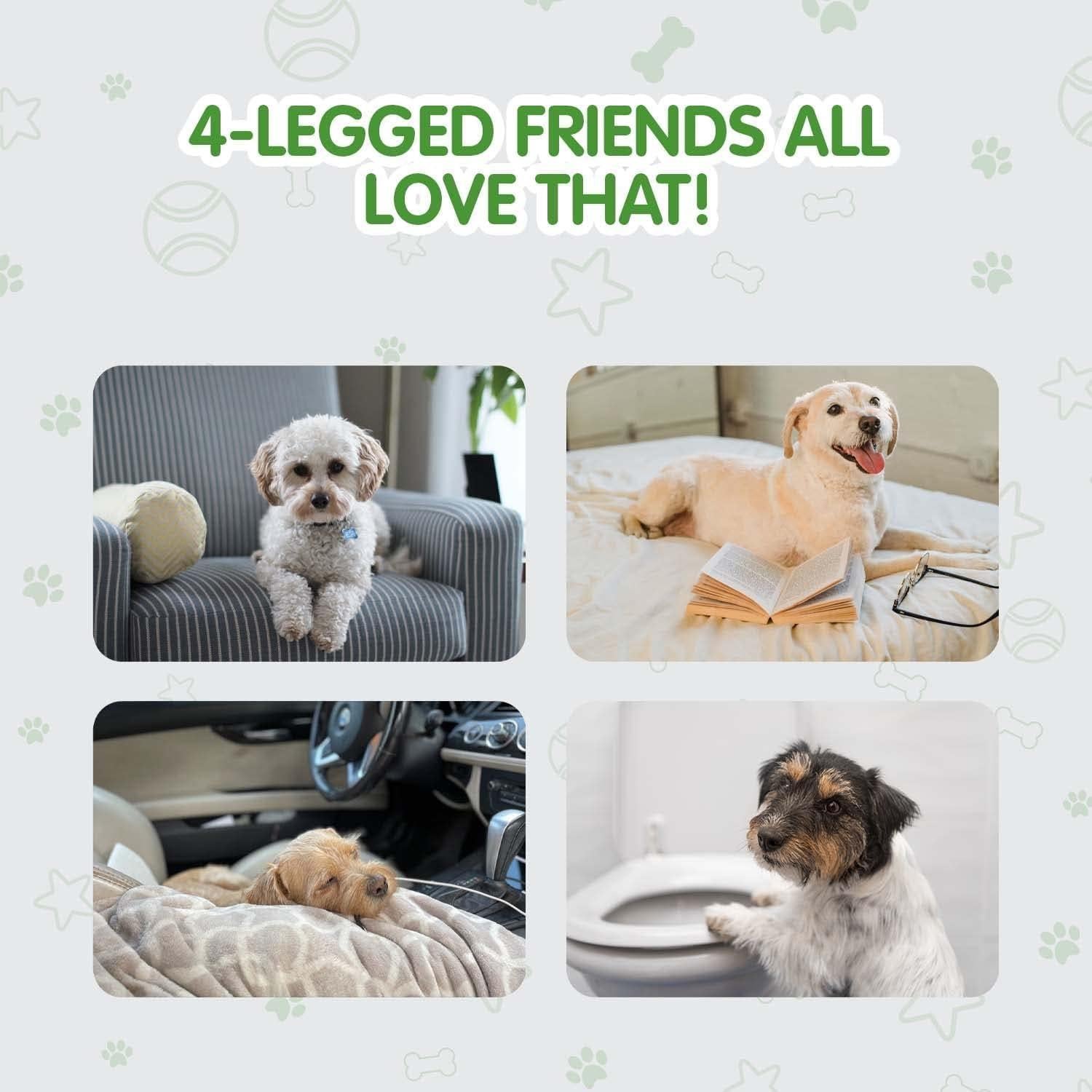 Almohadillas de Entrenamiento para Perros COCOYO 75 Unidades 76x66 cm