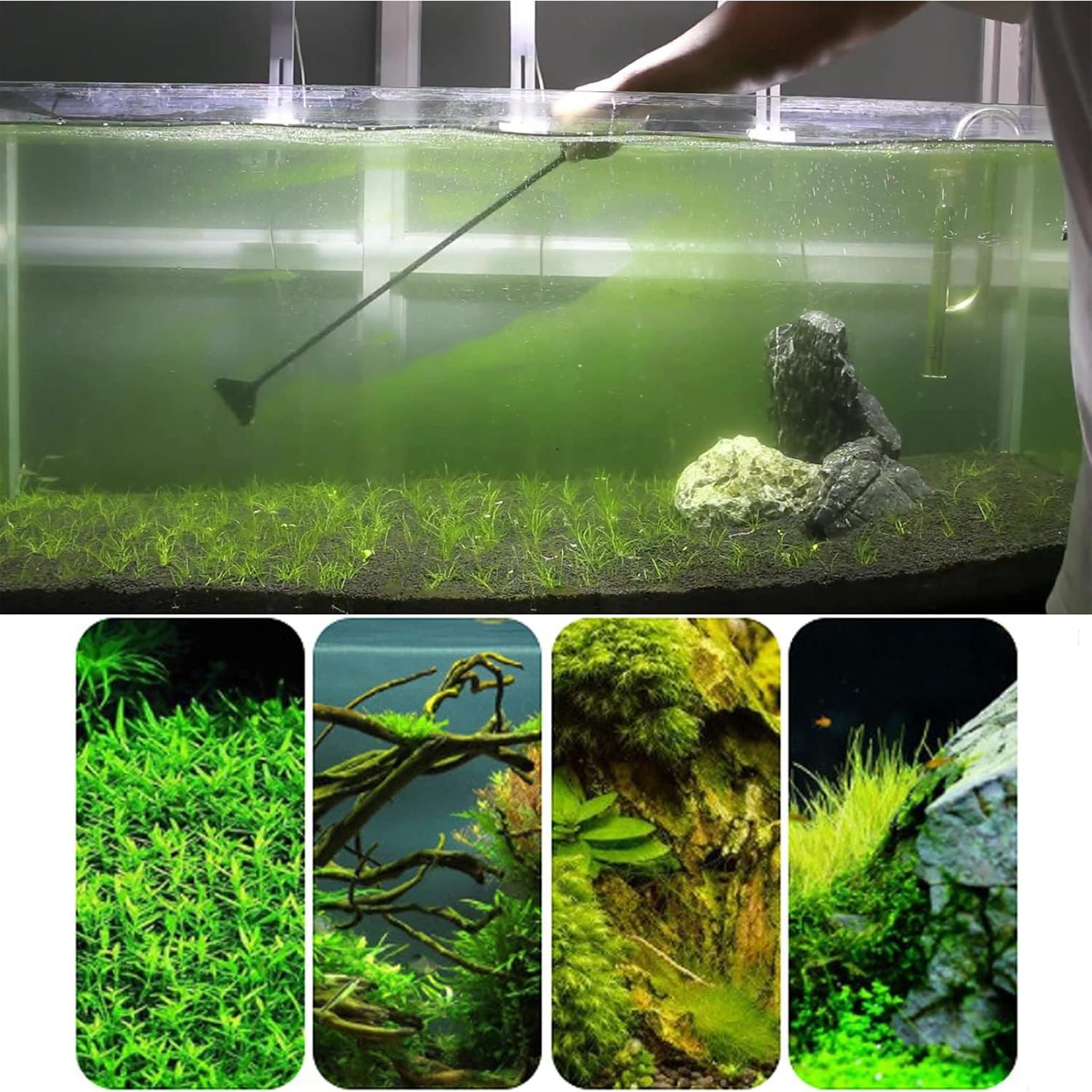 Raspador de Algas Ajustable SXMYSH 90cm Aluminio Negro