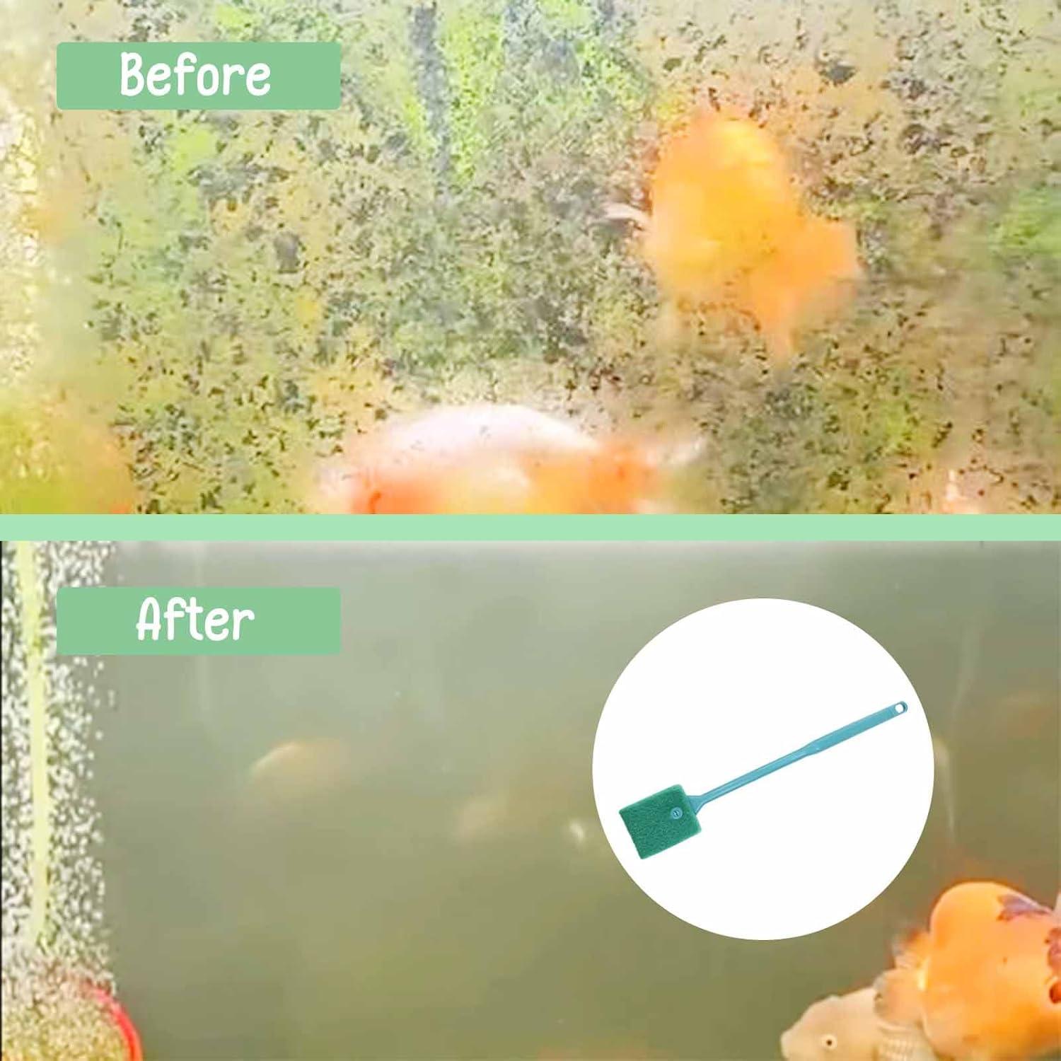 Cepillo de Acuario Chaekoy Doble Cara 31.75 cm Verde