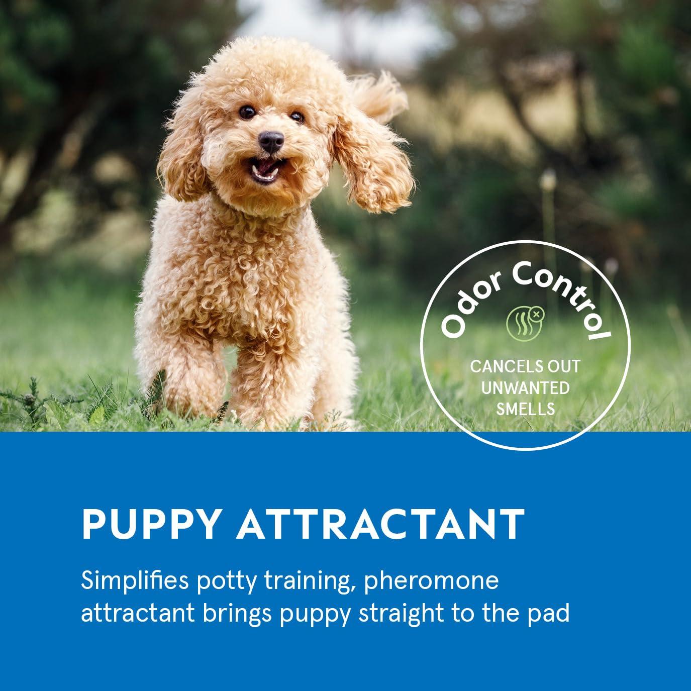 Alfombrillas Desechables para Cachorros AOS 22x22cm - 100 Unidades