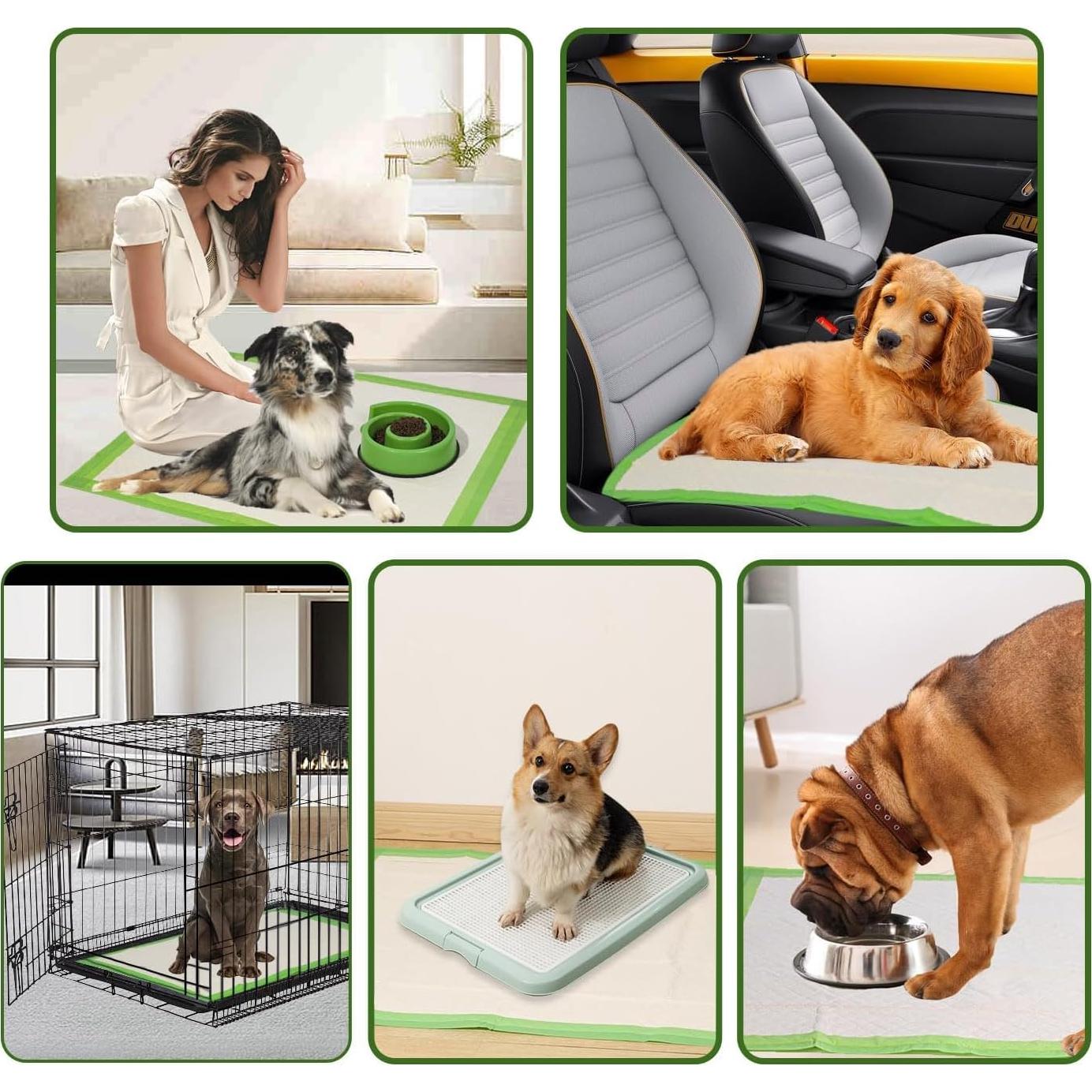 Almohadillas para Orinar Extra Grande Gardner Pet 71x86 cm 10 Pzas