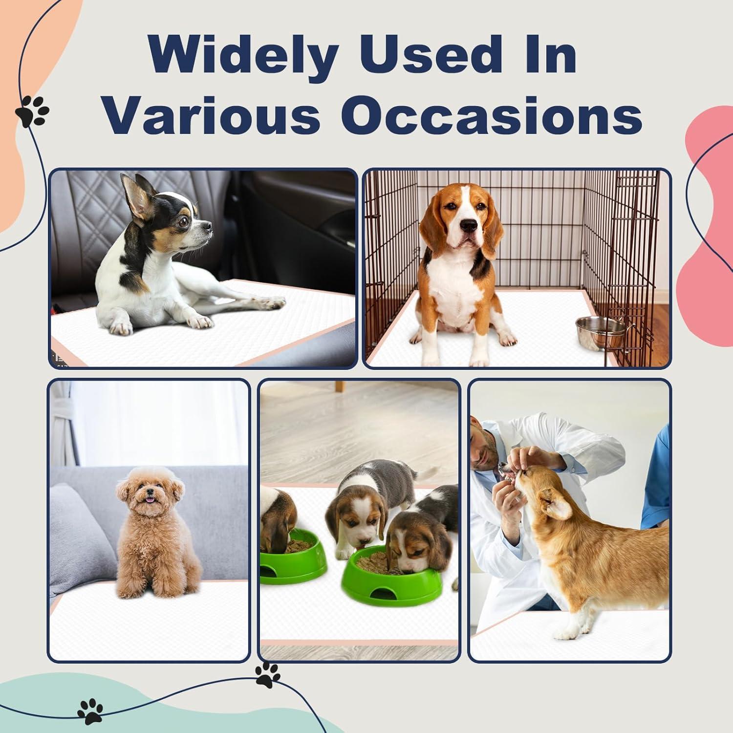 Alfombrillas Desechables para Cachorros OOMICAT 91x91cm Rosadas - 45 Pcs