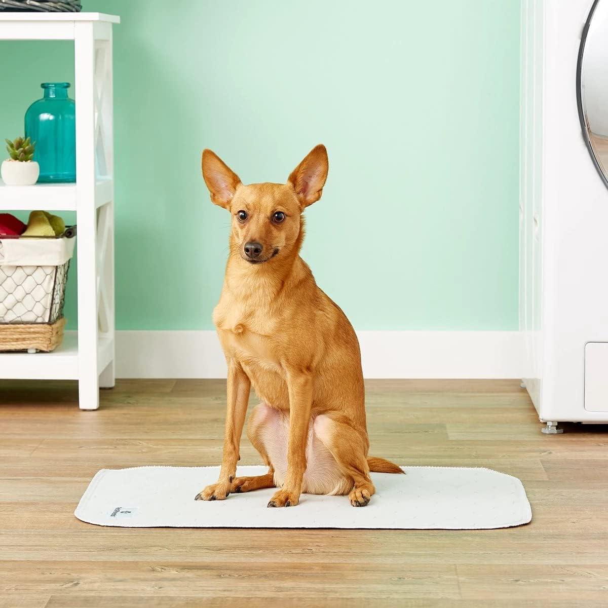 Alfombrillas Pawtect® Lavables para Perros Pet Parents 45x61 cm