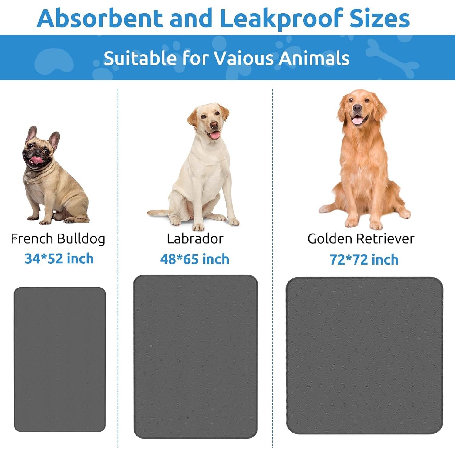 Alfombrilla Lavable CoolShields 132x86 cm Impermeable para Mascotas