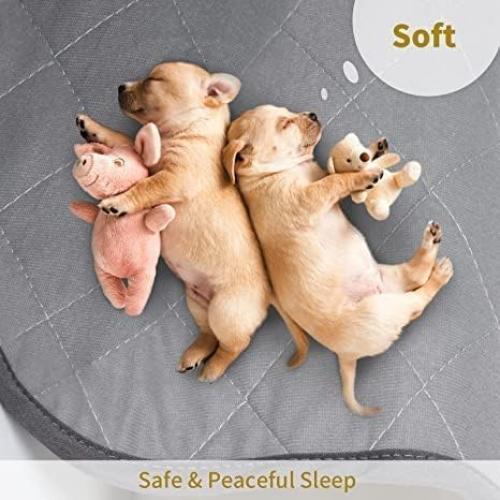 Alfombrilla Lavable CoolShields 132x86 cm Impermeable para Mascotas