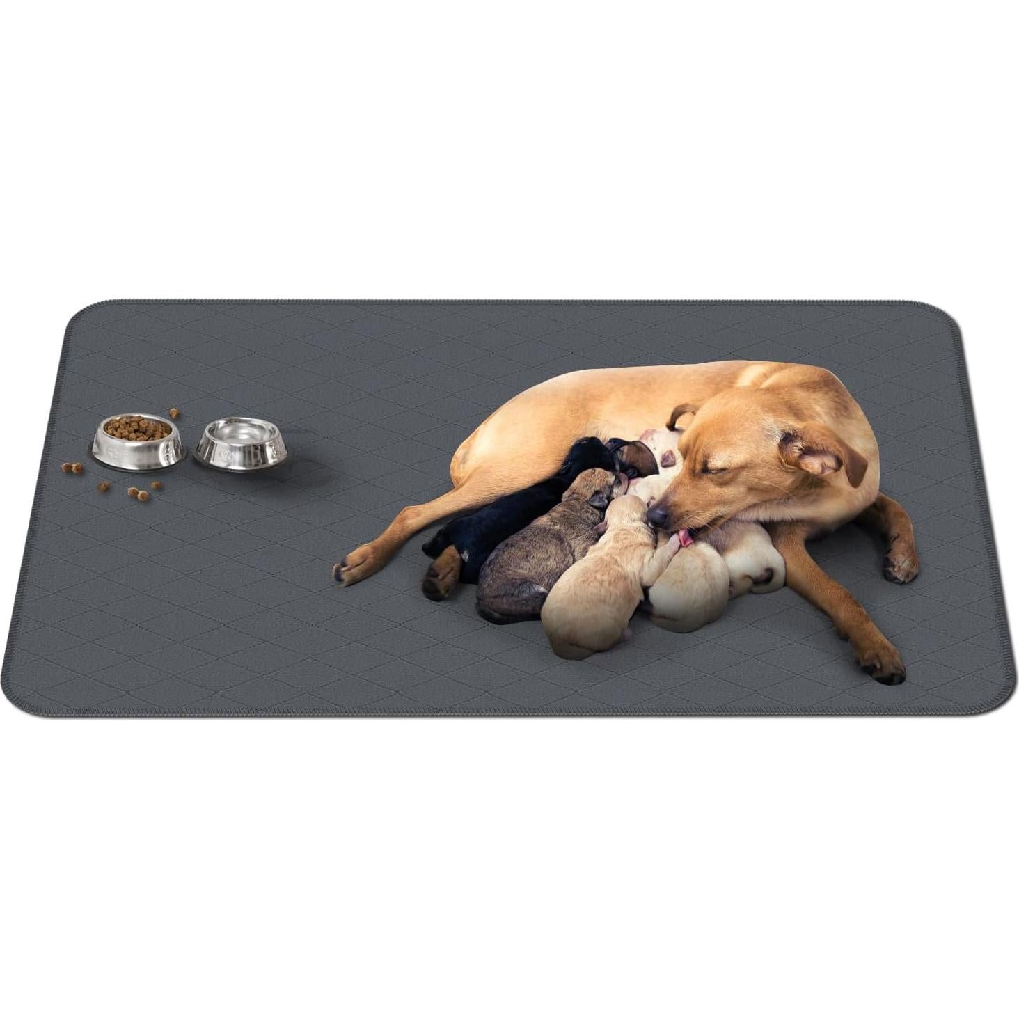 Alfombrilla Lavable CoolShields 132x86 cm Impermeable para Mascotas
