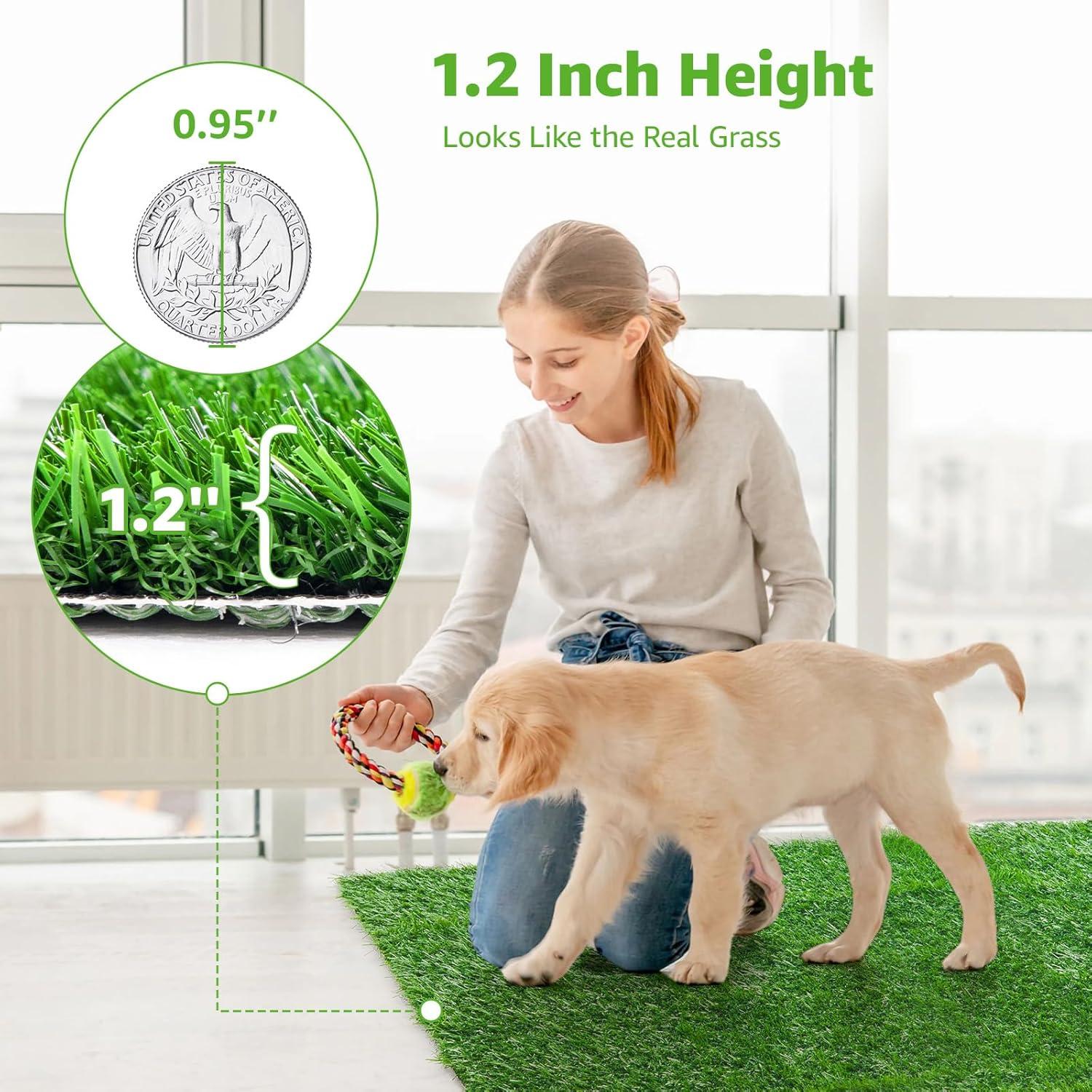 Alfombrilla de Césped Artificial para Perros PICK FOR LIFE 50x63 cm