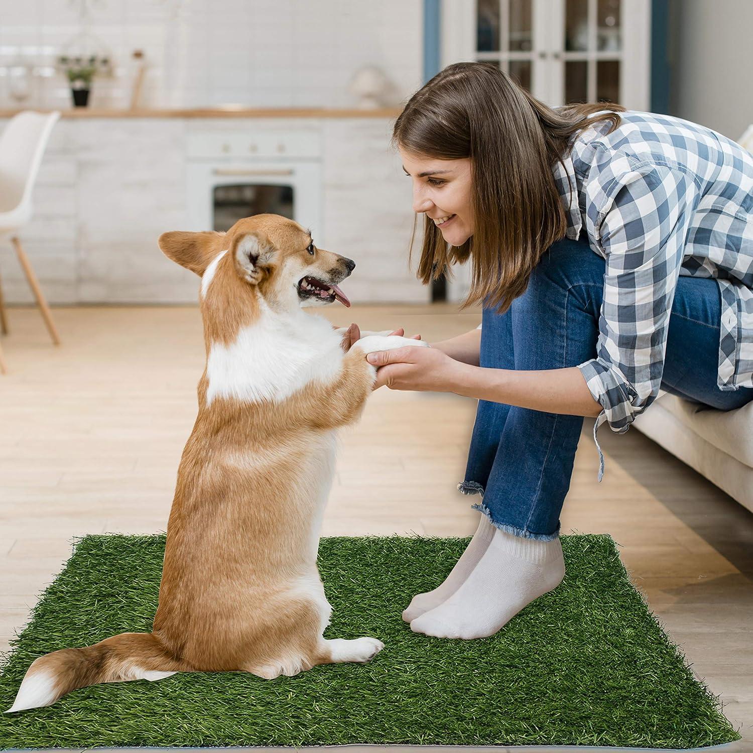 Alfombrilla de Césped Artificial para Perros PICK FOR LIFE 50x63 cm