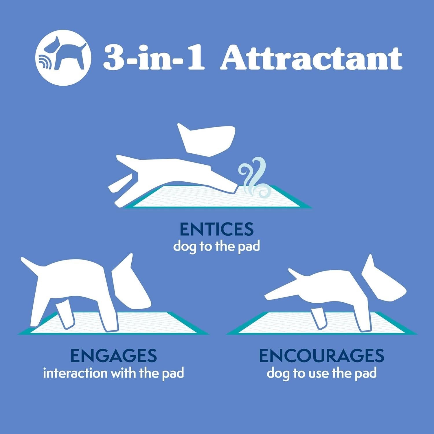 Almohadillas de Entrenamiento para Perros Extra Grandes - Solución Simple - 100 Unidades