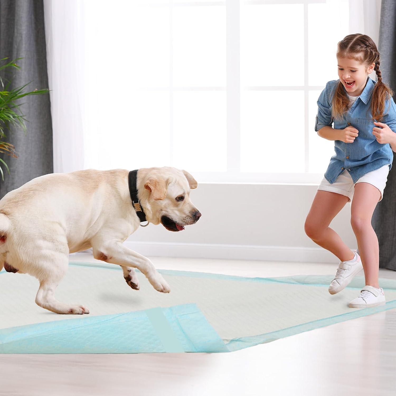 Alfombrillas Desechables para Perros HEPPYPLUS 90 Unidades 56x58cm