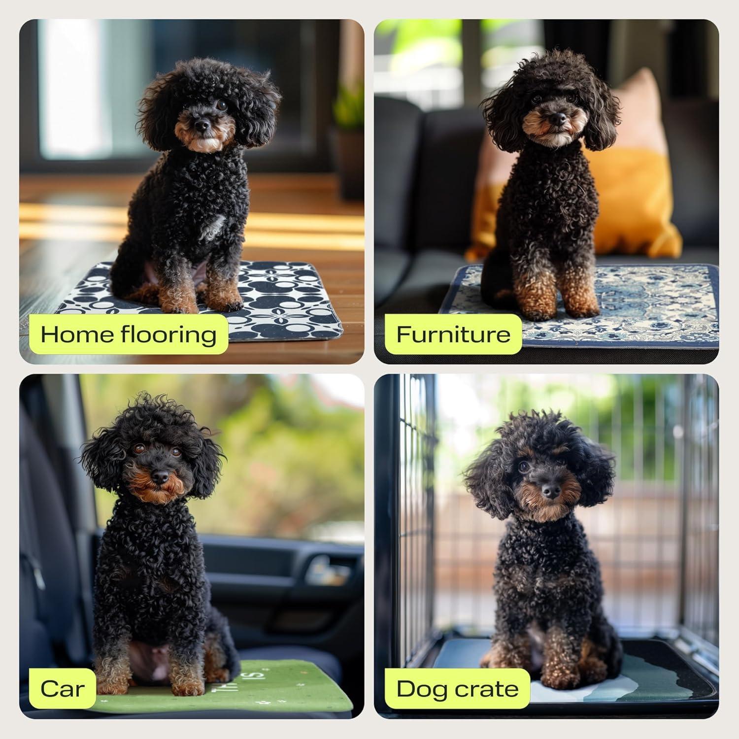 Almohadillas Lavables PetSpy para Perros 2 Paquete 91x104 cm