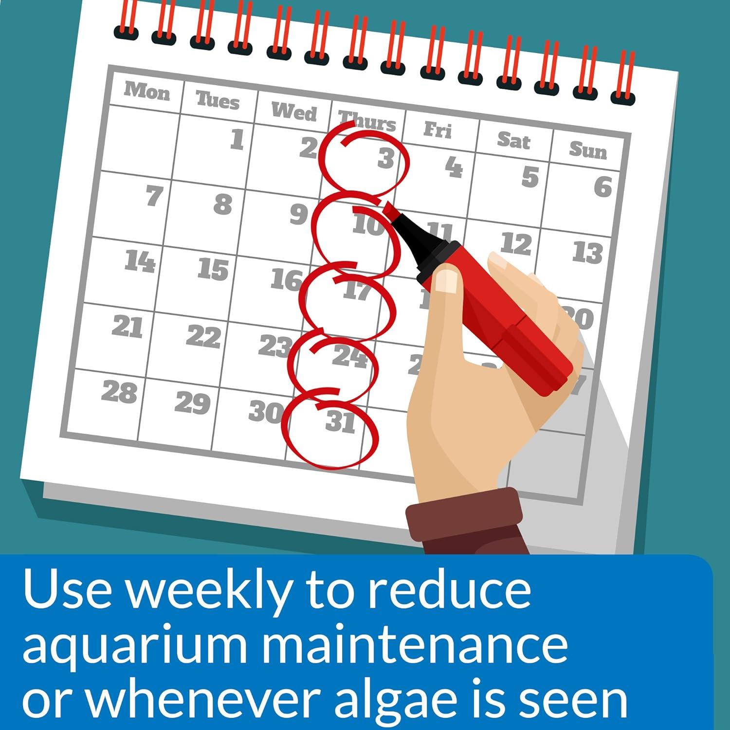 API ALGAEFIX Control de Algas 473 ml para Acuarios Dulces