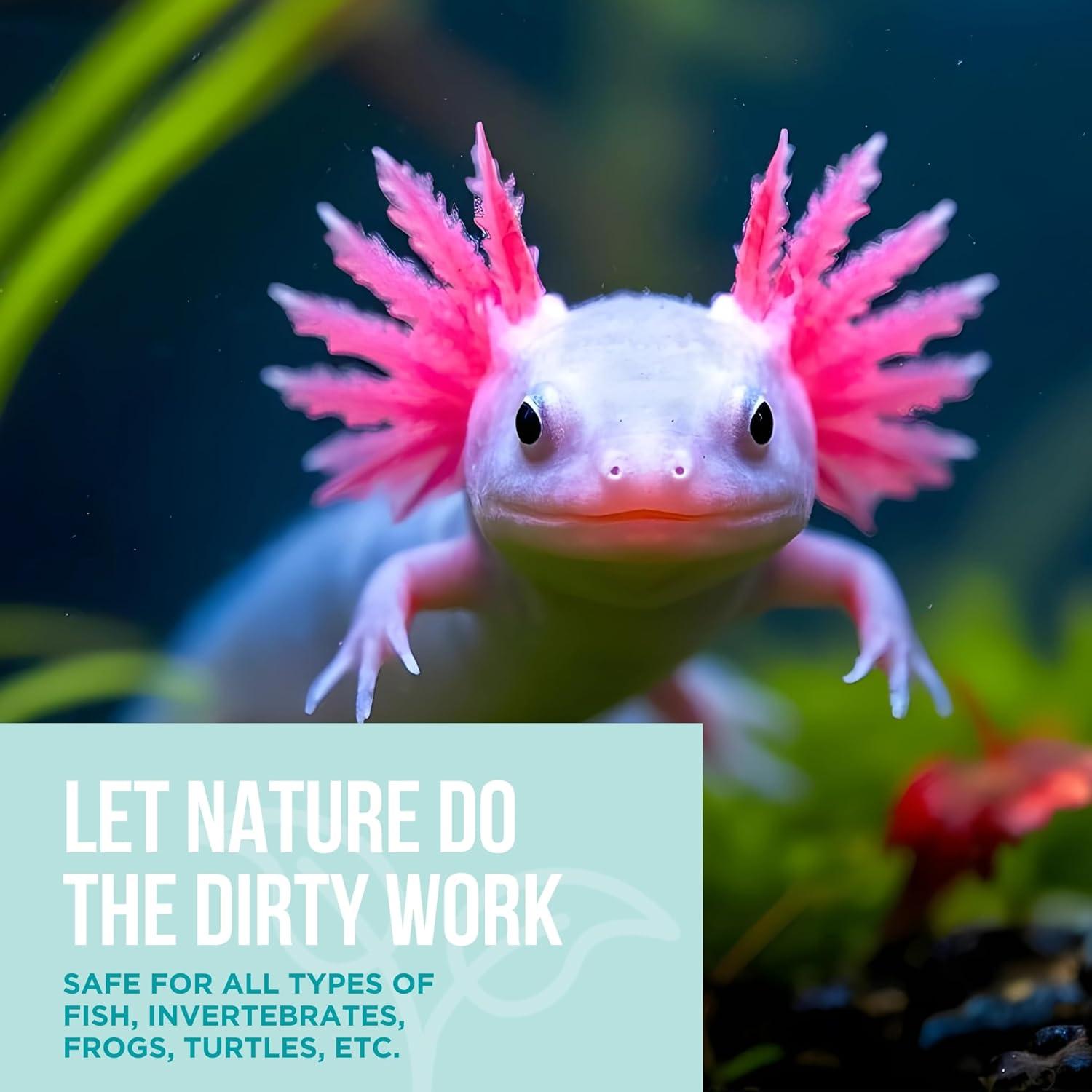 Limpiador de Grava Natural Rapport 473 mL para Acuarios