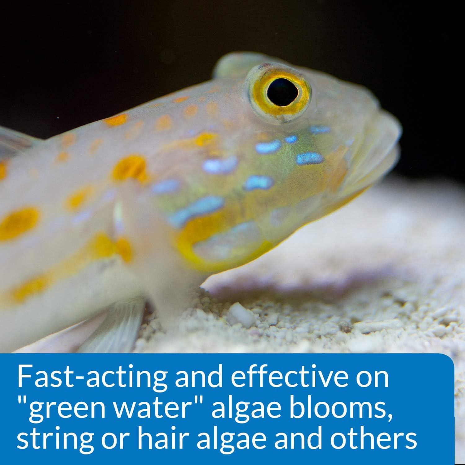 API MARINE ALGAEFIX Control de Algas 473 ml Acuario Marino