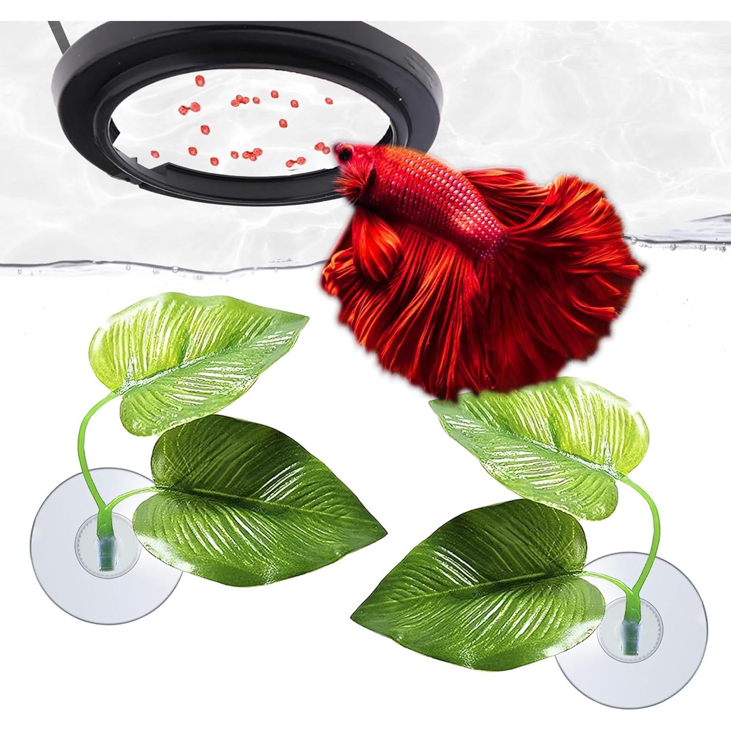 Hamacas de Hoja y Anillo Betta SunGrow - 2 Almohadillas y Alimentador