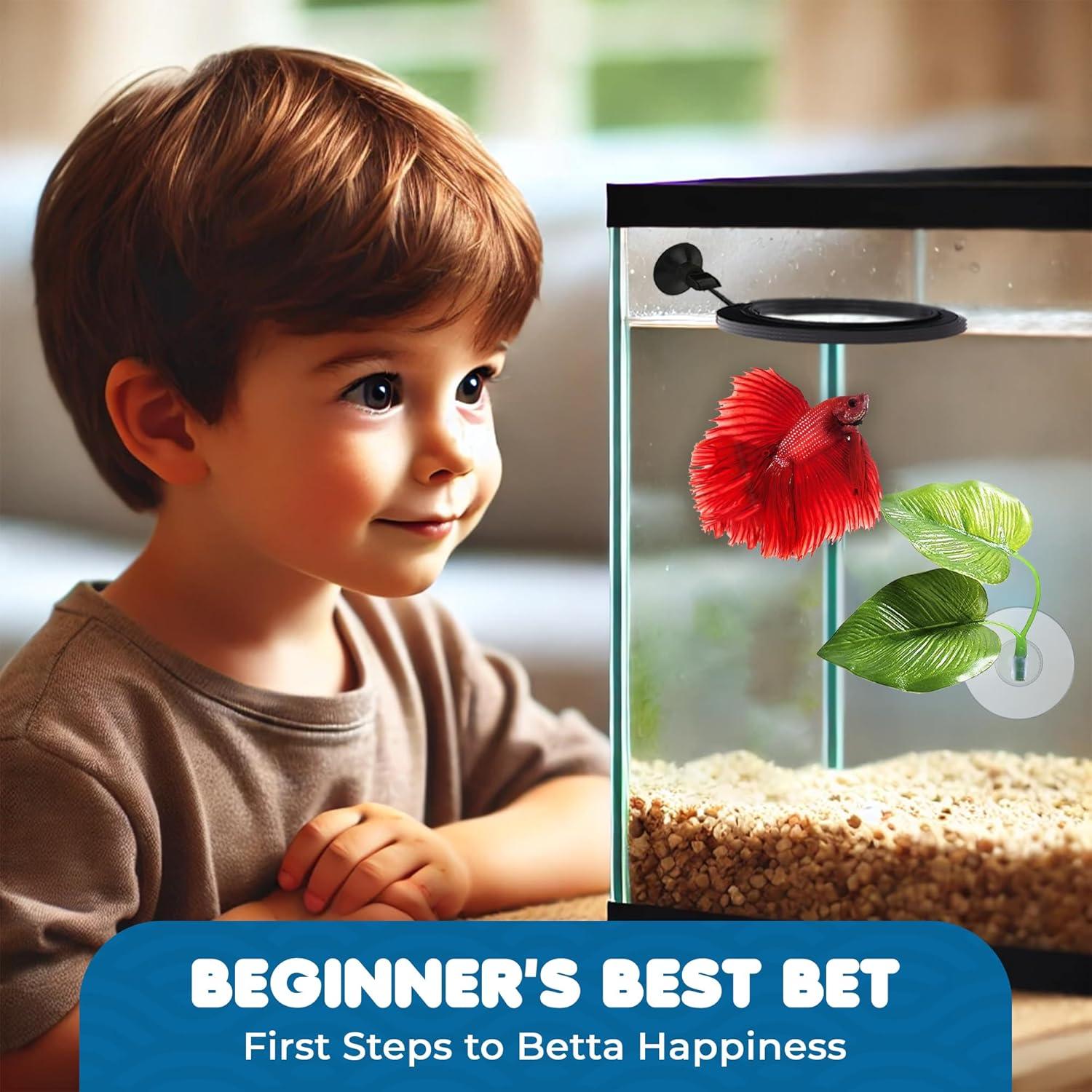 Hamacas de Hoja y Anillo Betta SunGrow - 2 Almohadillas y Alimentador