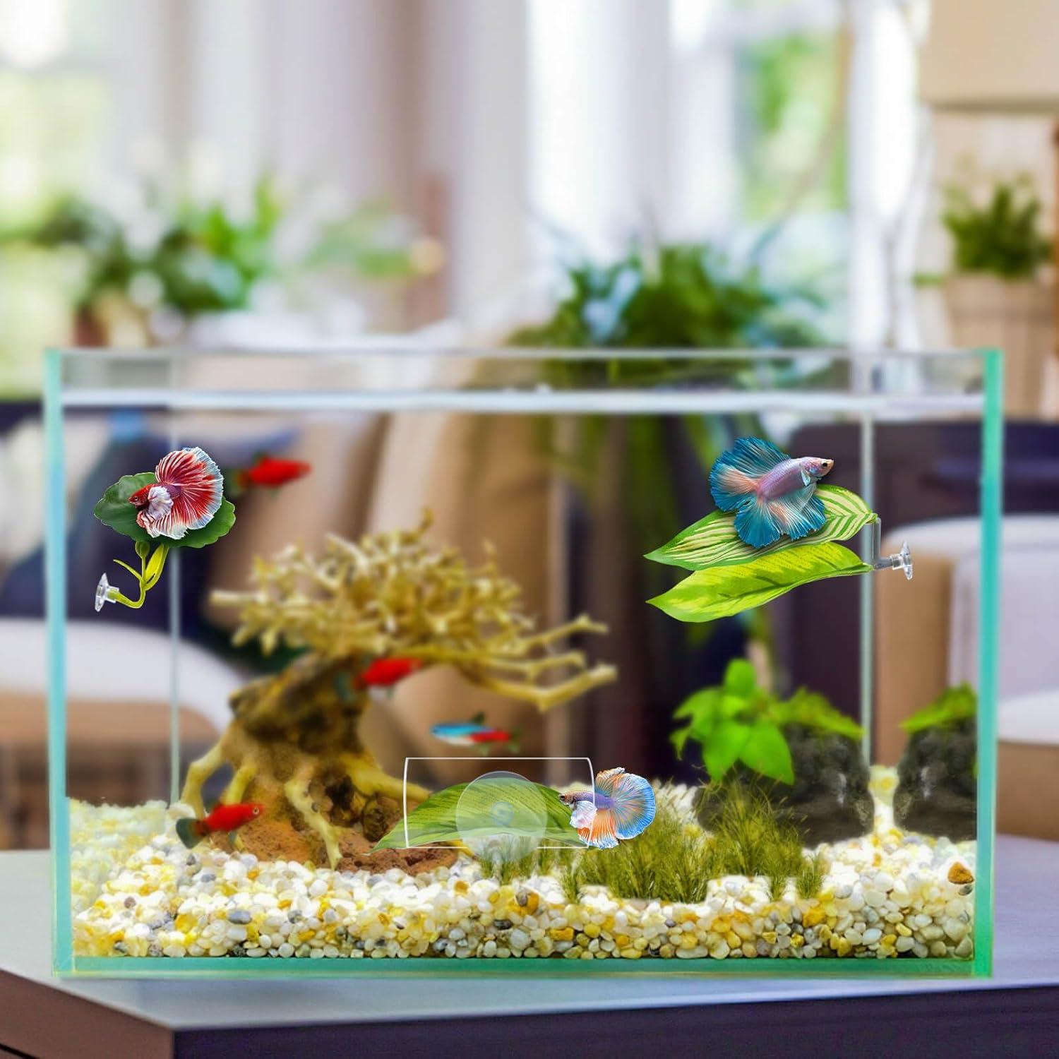 Juego de Accesorios para Acuario Betta BaoZqua 5 Piezas