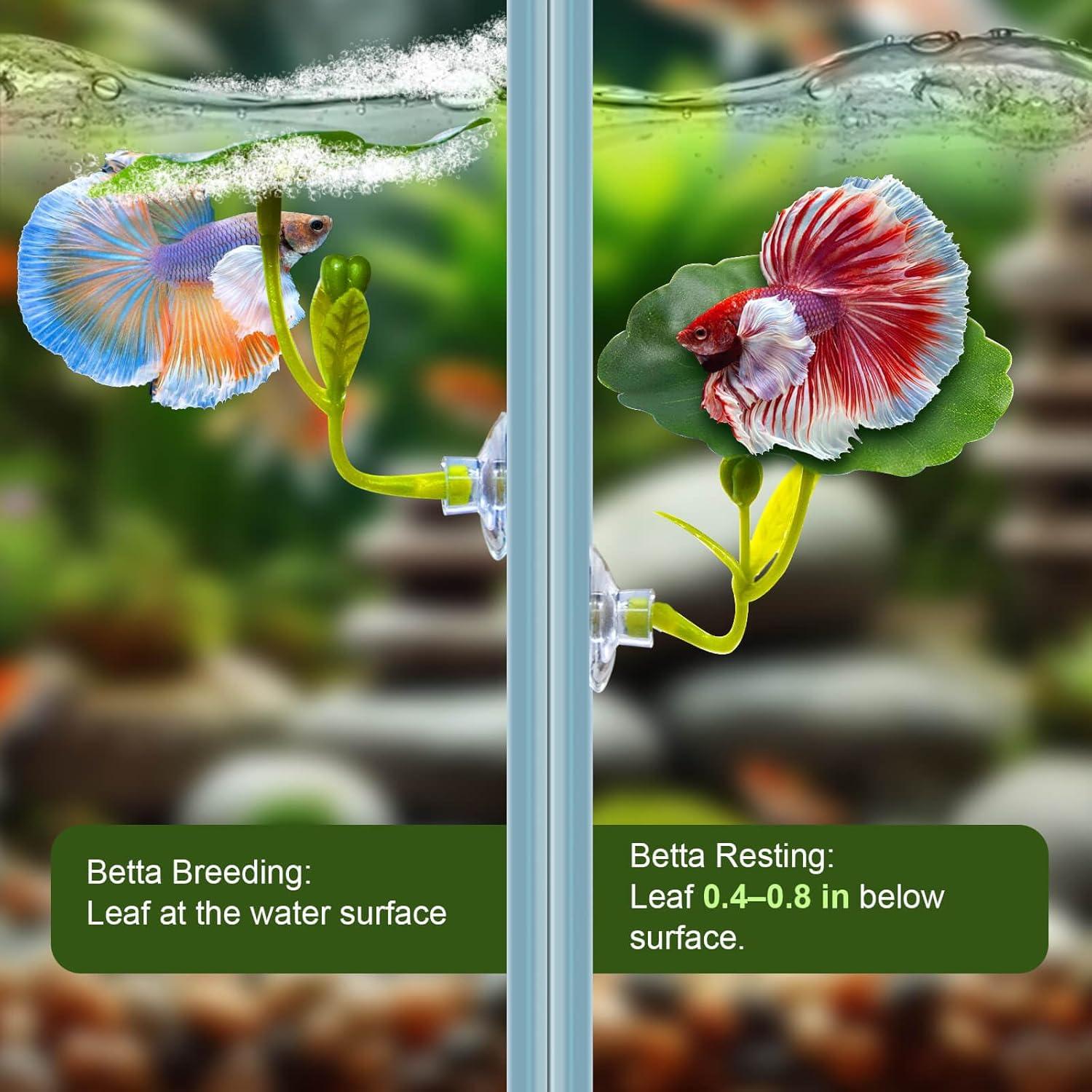 Juego de Accesorios para Acuario Betta BaoZqua 5 Piezas