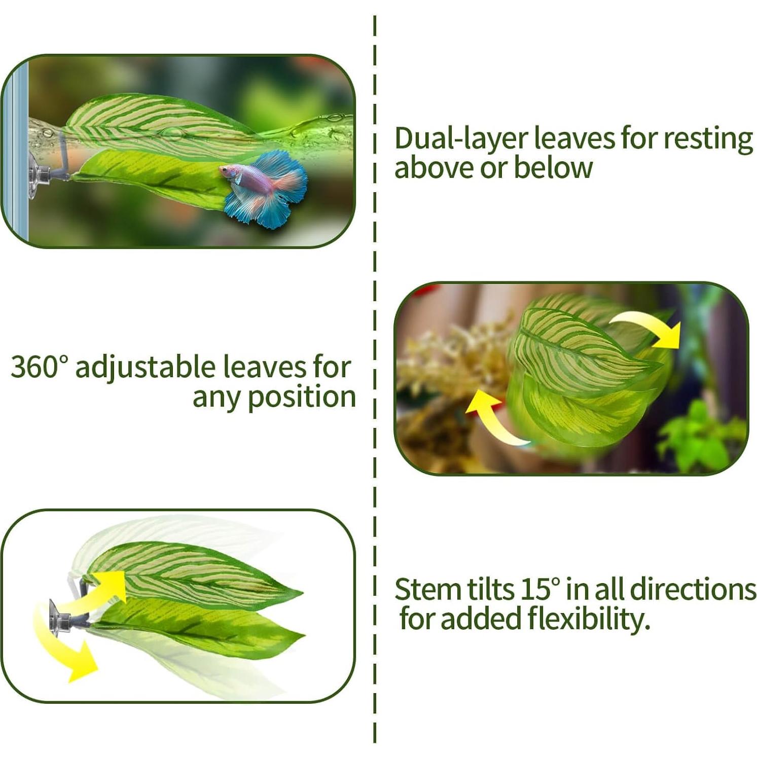 Juego de Accesorios para Acuario Betta BaoZqua 5 Piezas