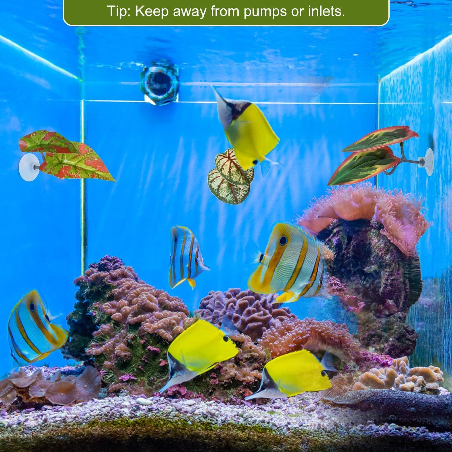 4 Hamacas de Hoja para Betta Lyreh - Decoración Acuario Verde Marrón