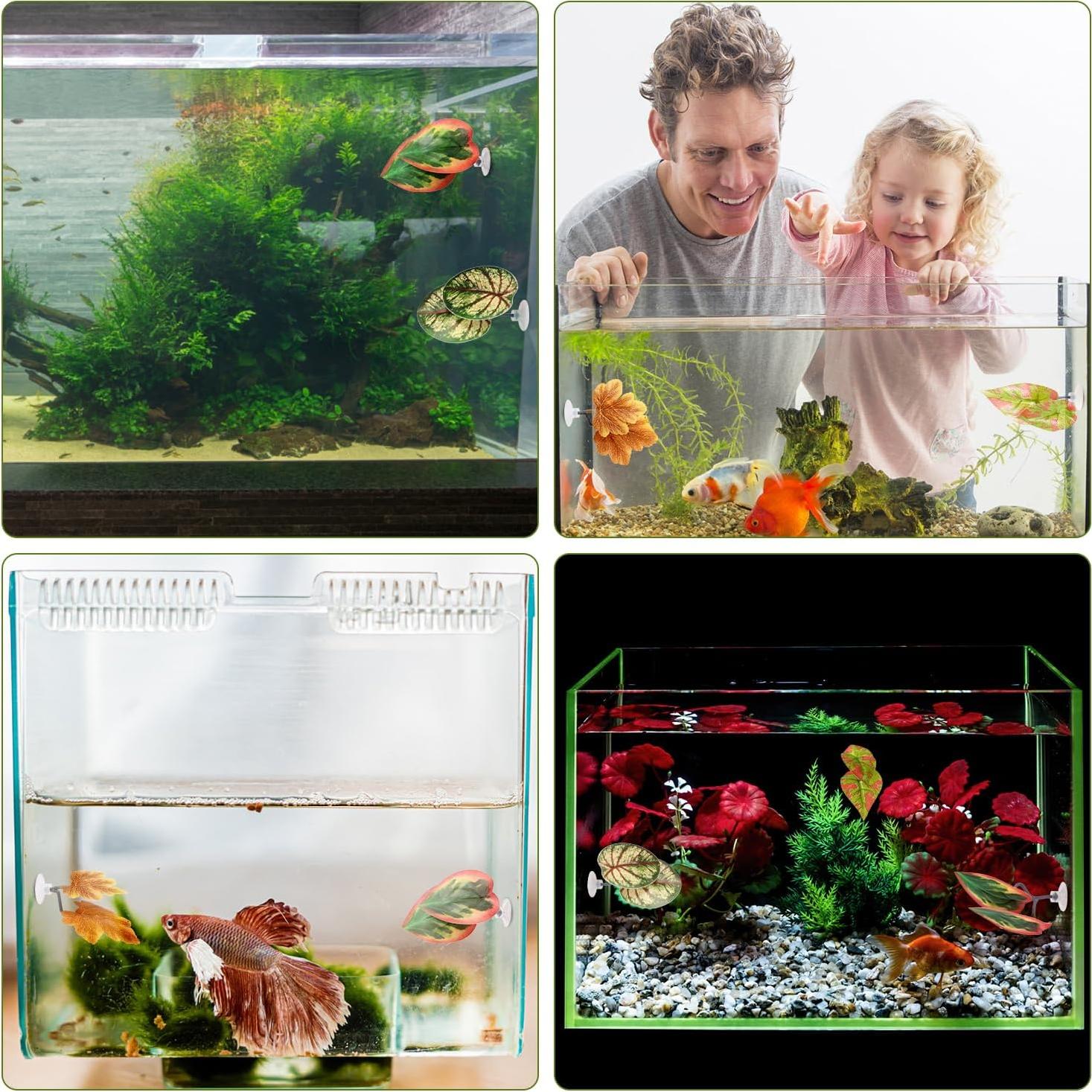 4 Hamacas de Hoja para Betta Lyreh - Decoración Acuario Verde Marrón