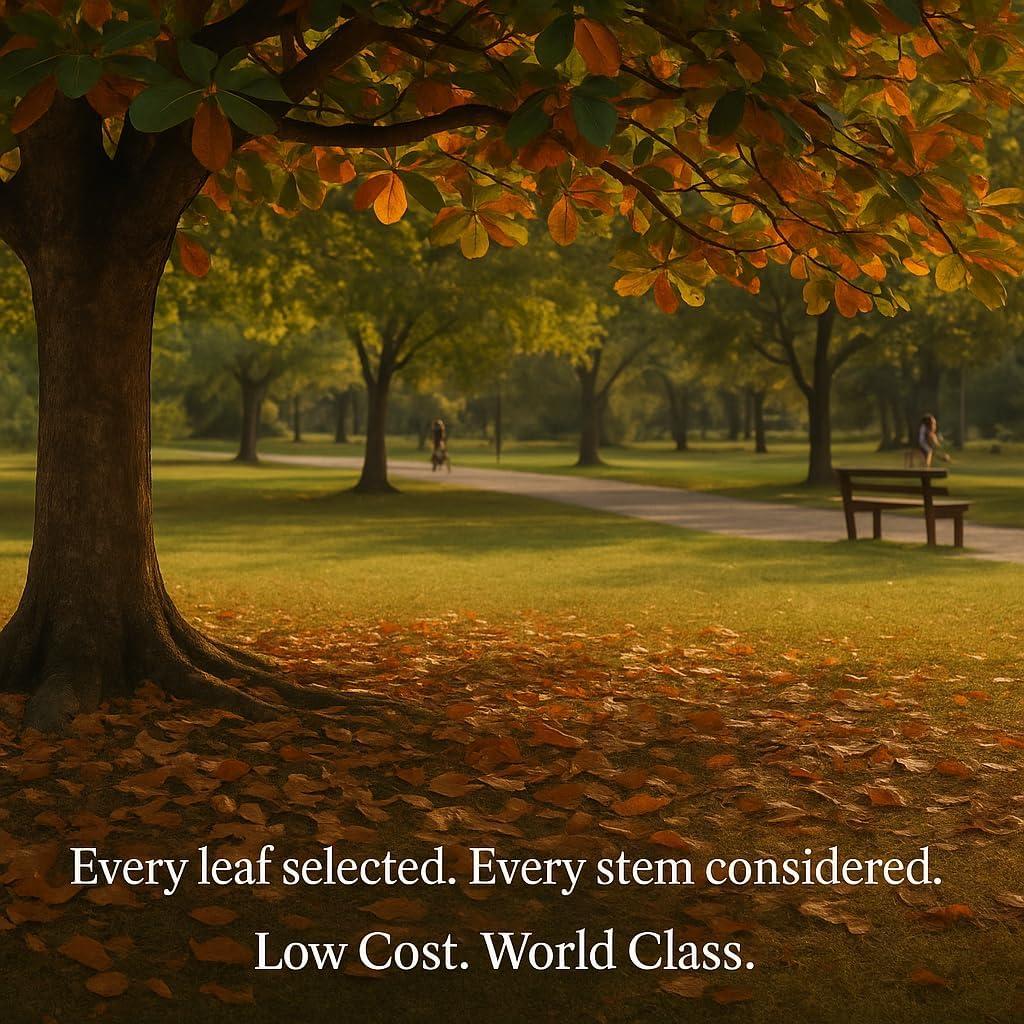 Hojas Secas de Almendra India Hida Beauty 50g para Acuario