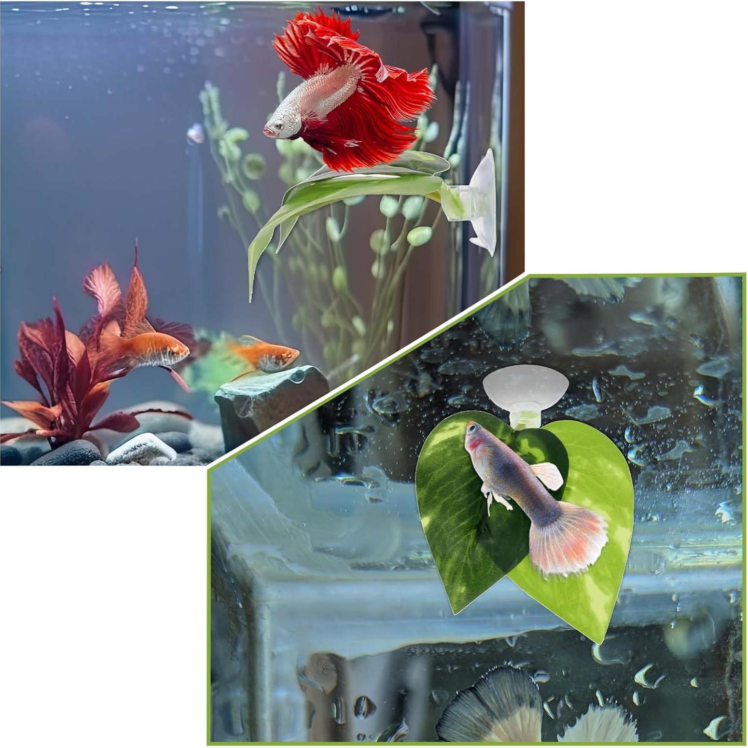 3 Piezas Decoraciones para Acuario Psyqtsuary - Plantas Artificiales
