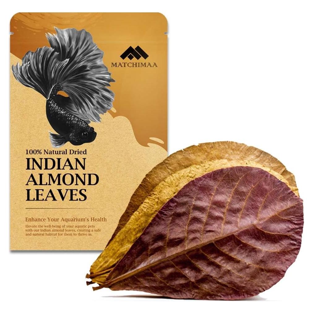 Hojas de Almendra India AMA GROW 50g 15-23cm para Acuarios