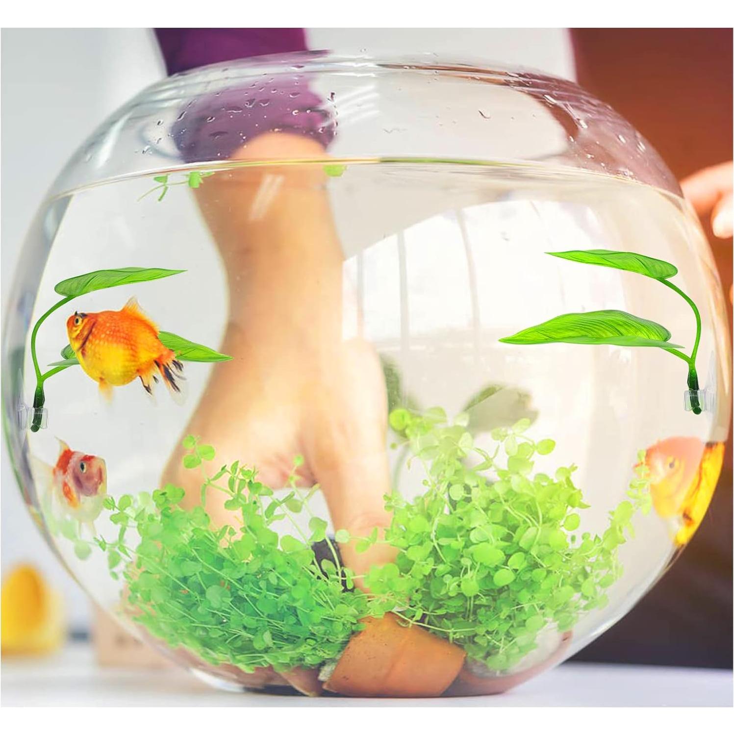 Hamaca de Hoja de Betta WishLotus - 2 Paquetes Verde