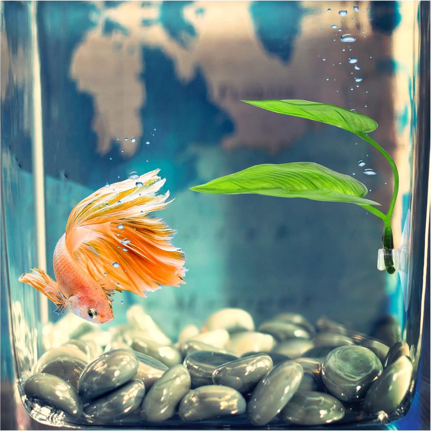 Hamaca de Hoja de Betta WishLotus - 2 Paquetes Verde