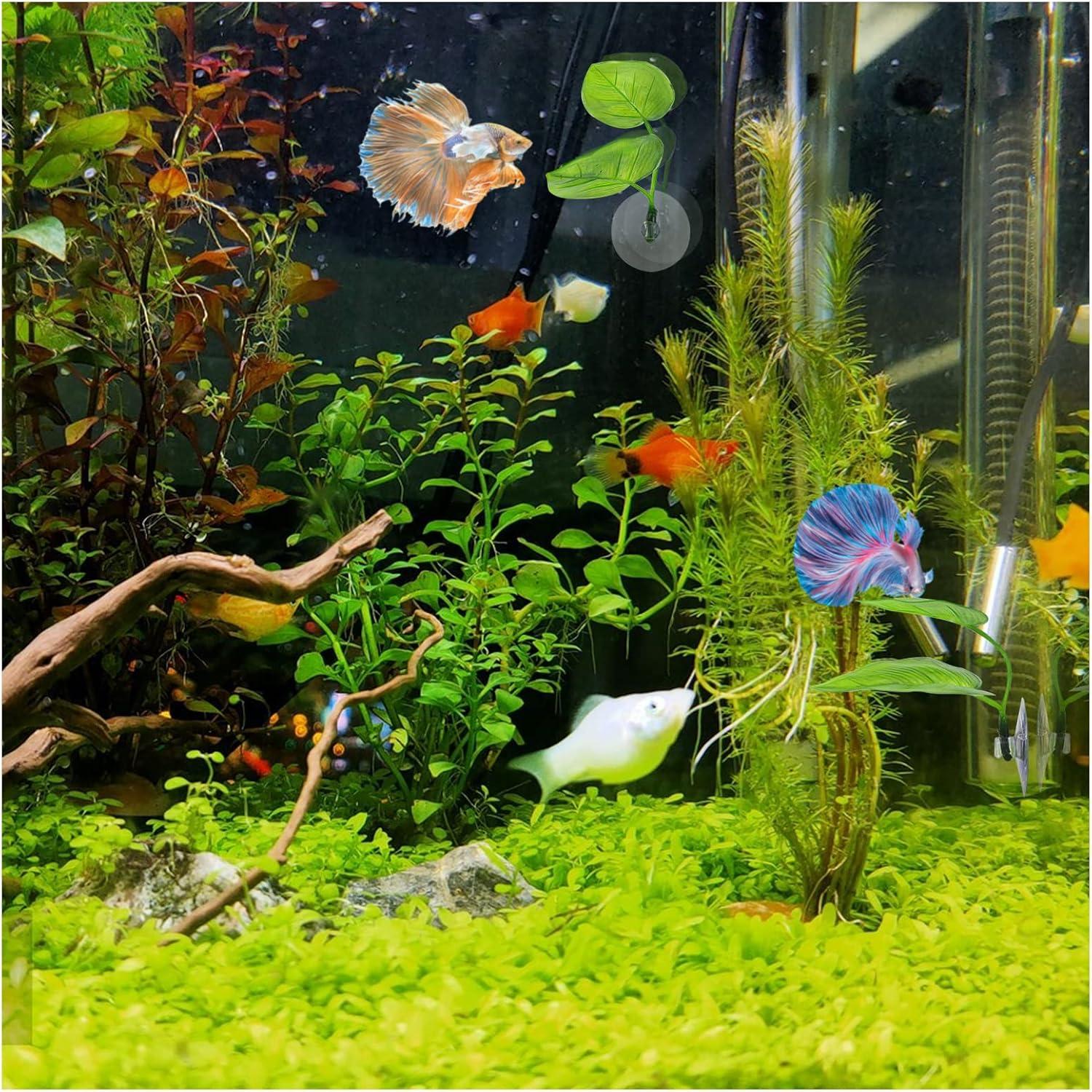 Hamaca de Hoja de Betta WishLotus - 2 Paquetes Verde