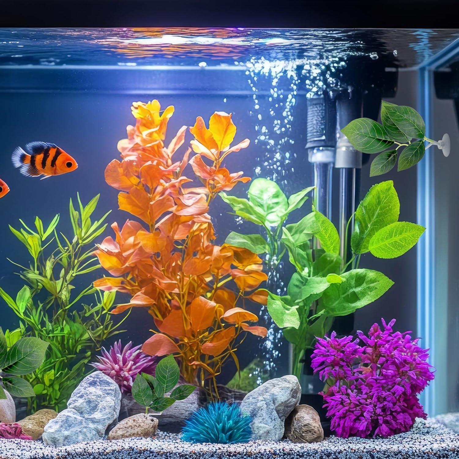 Accesorios para Acuario Ymapinc - 4 Hojas de Betta Ajustables