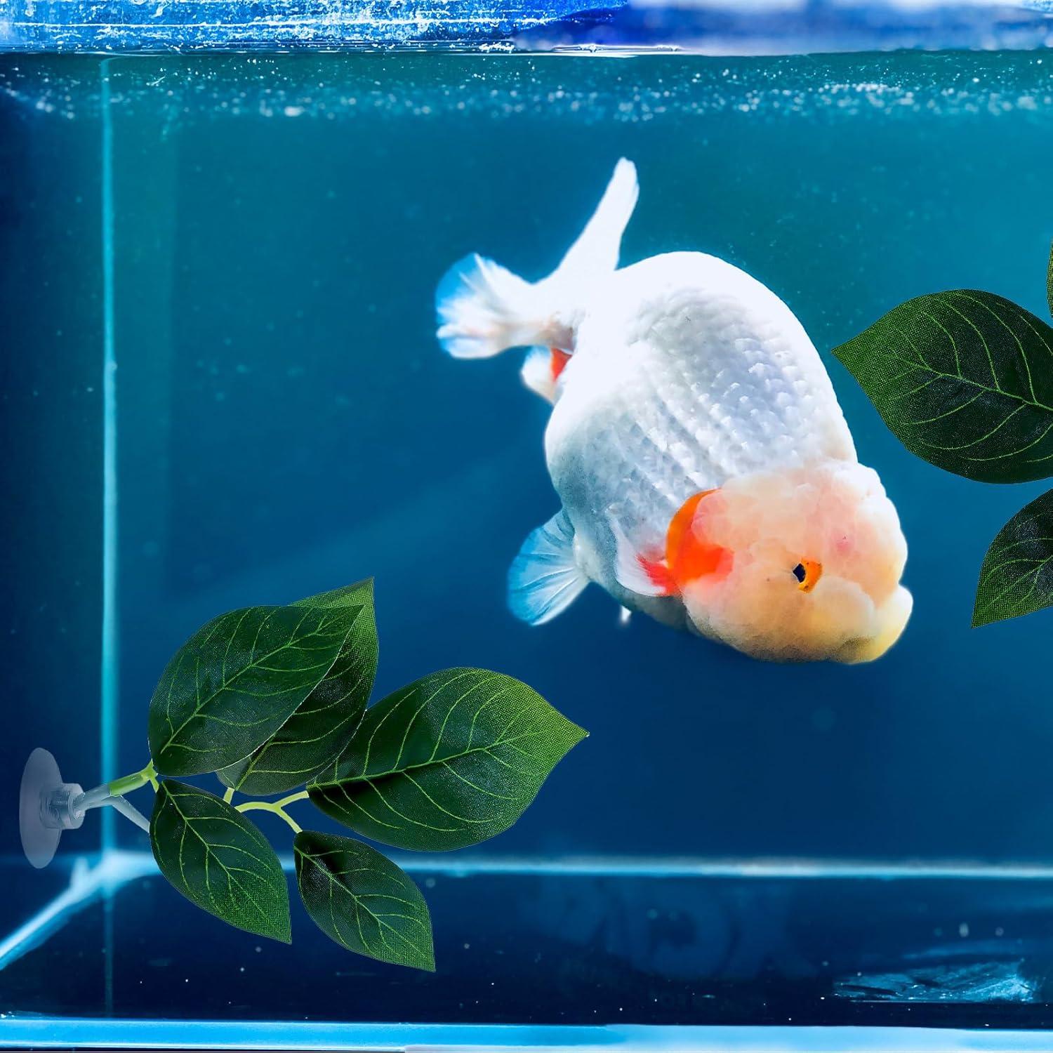 Accesorios para Acuario Ymapinc - 4 Hojas de Betta Ajustables