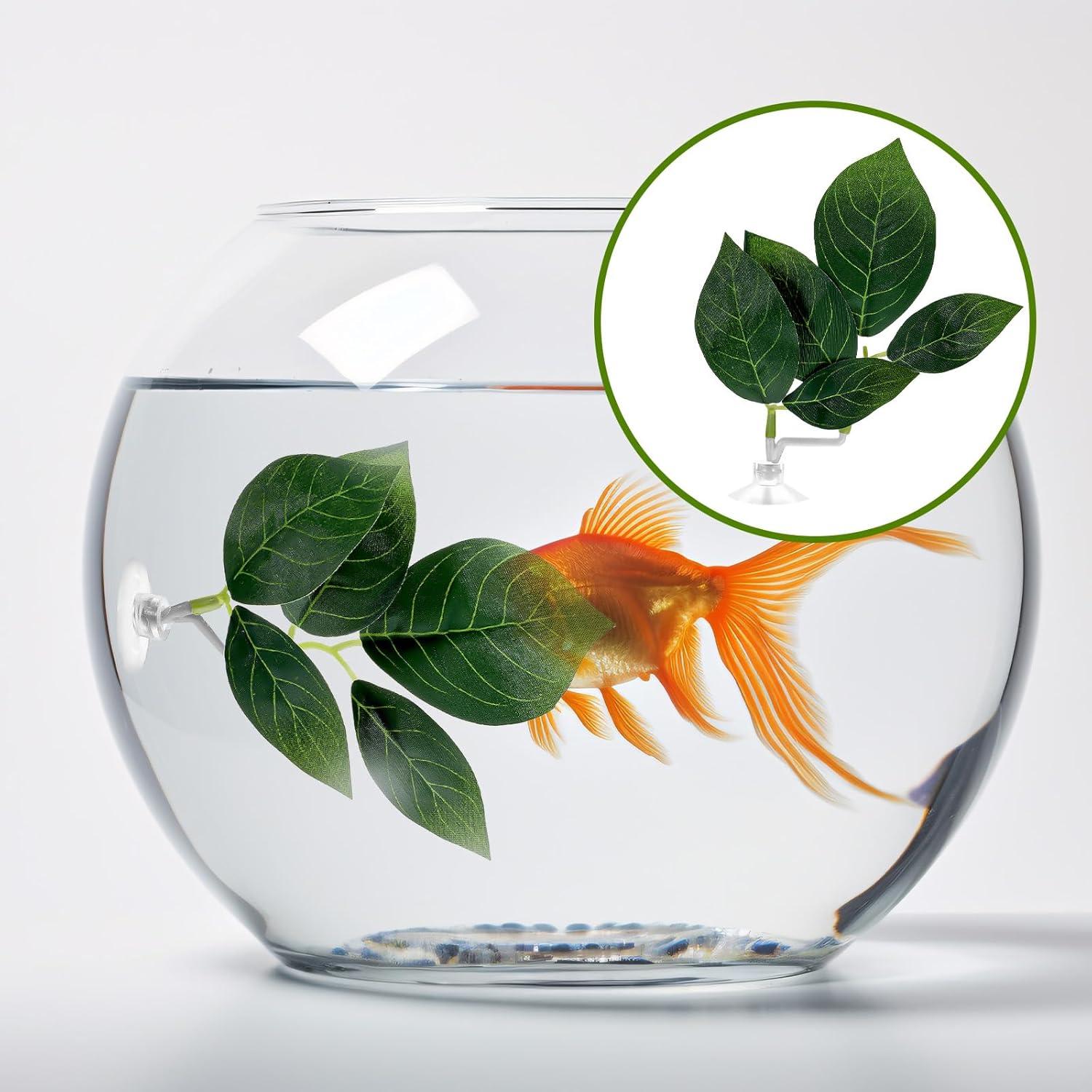 Accesorios para Acuario Ymapinc - 4 Hojas de Betta Ajustables