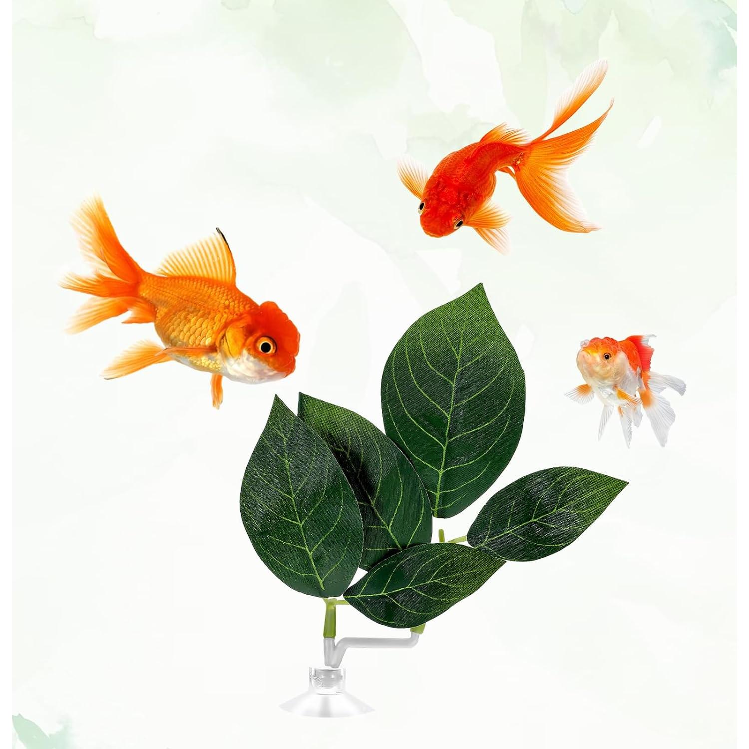 Accesorios para Acuario Ymapinc - 4 Hojas de Betta Ajustables